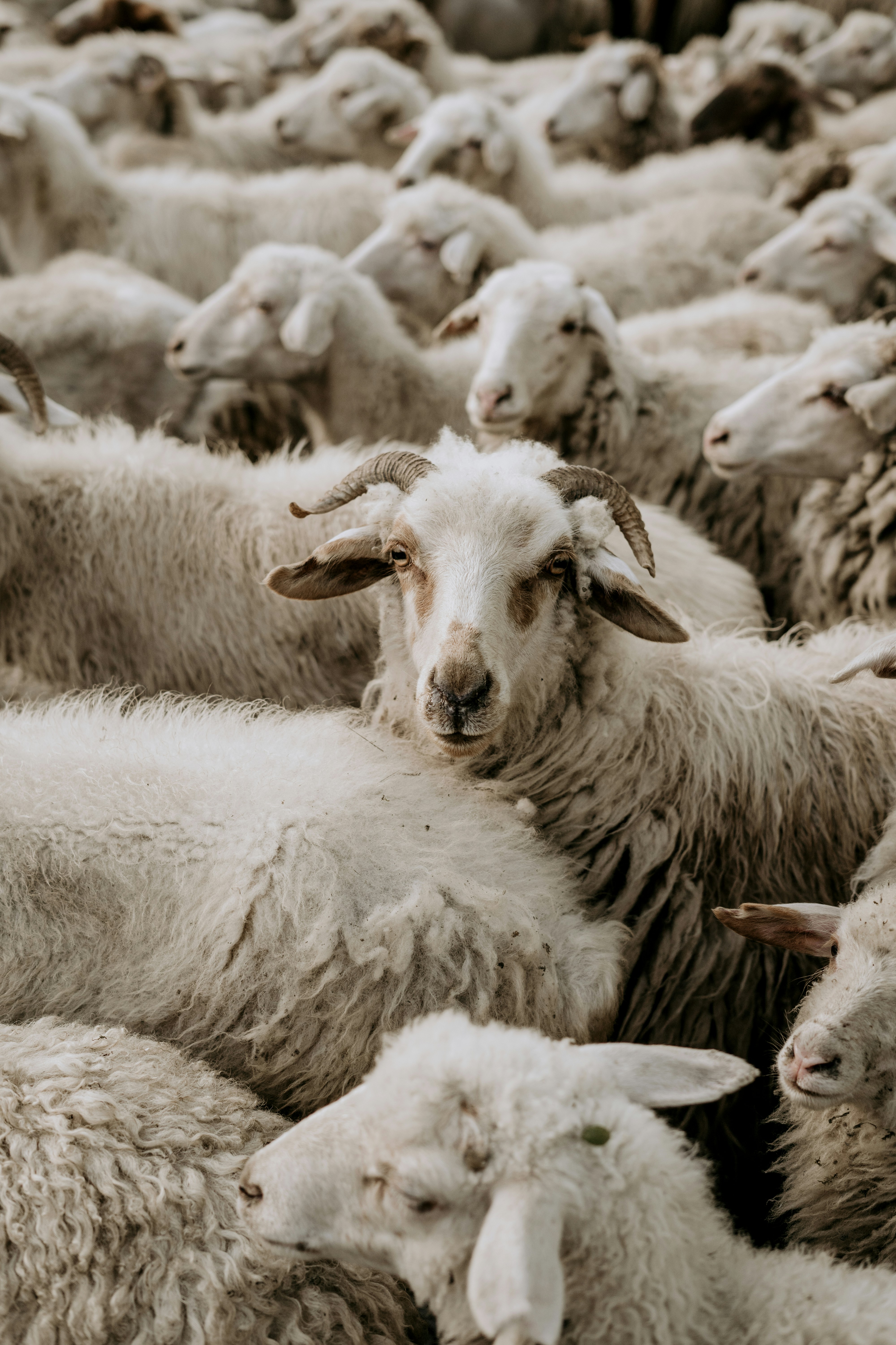 Photo by dubai_love_story