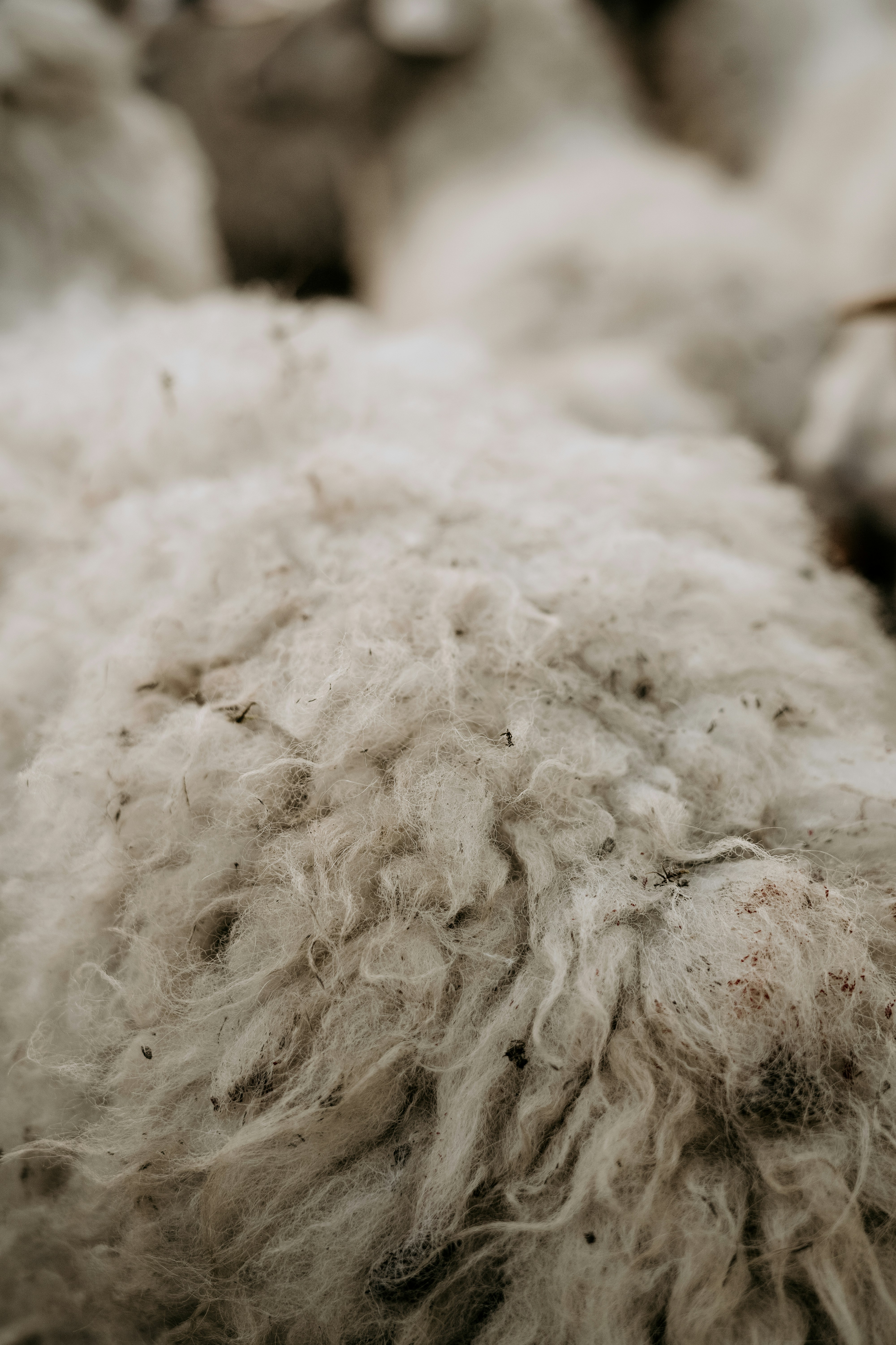 Photo by dubai_love_story