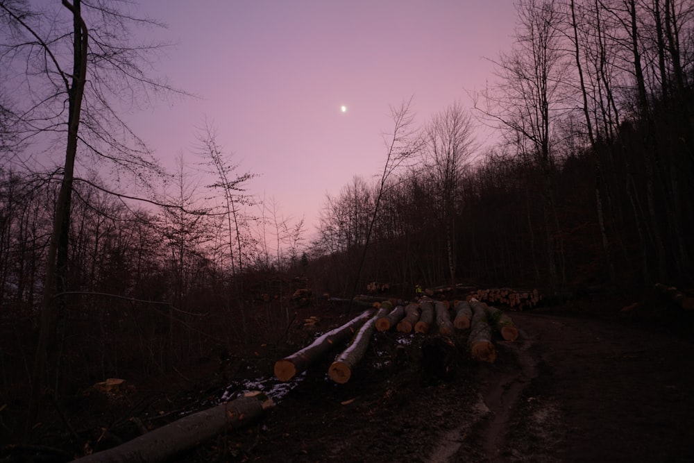 a group of logs sitting on top of a dirt road