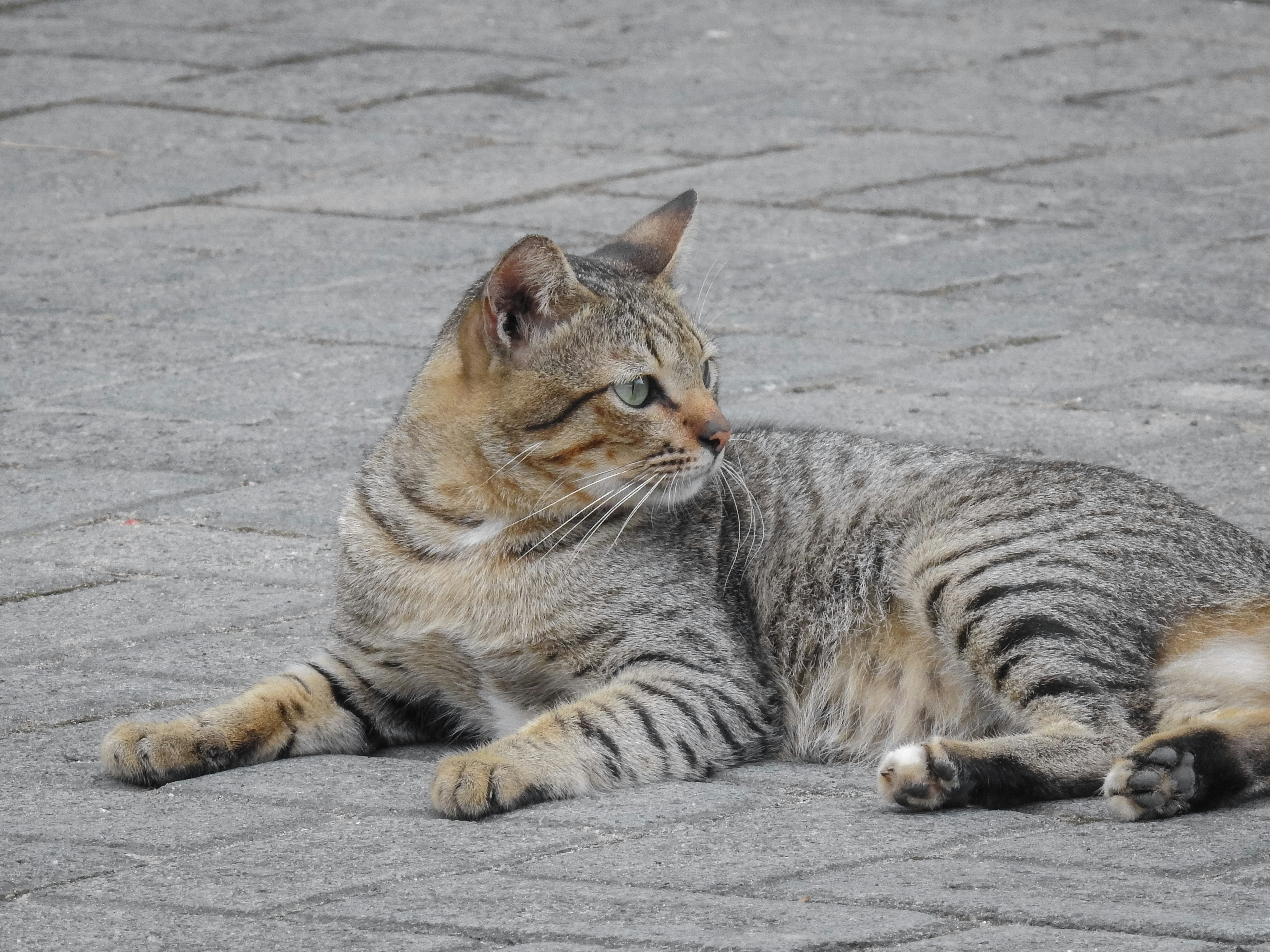 Photo by gazagazasan