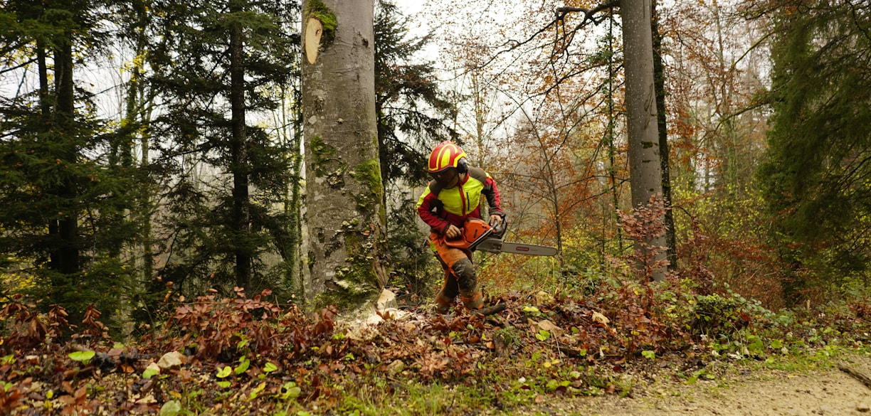 a man with a chainsaw in a wooded area