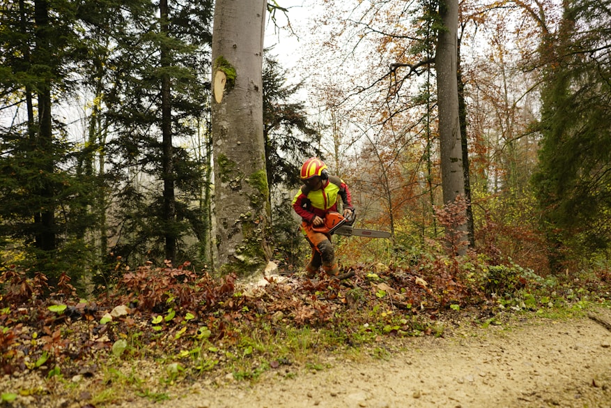 a man with a chainsaw in a wooded area