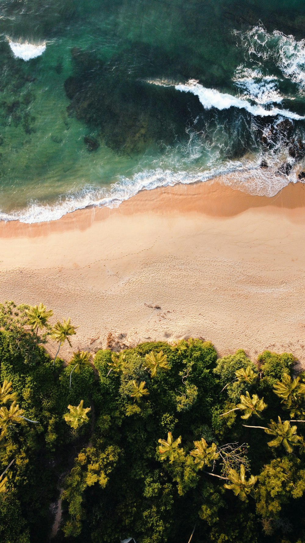 an aerial view of a sandy beach and ocean