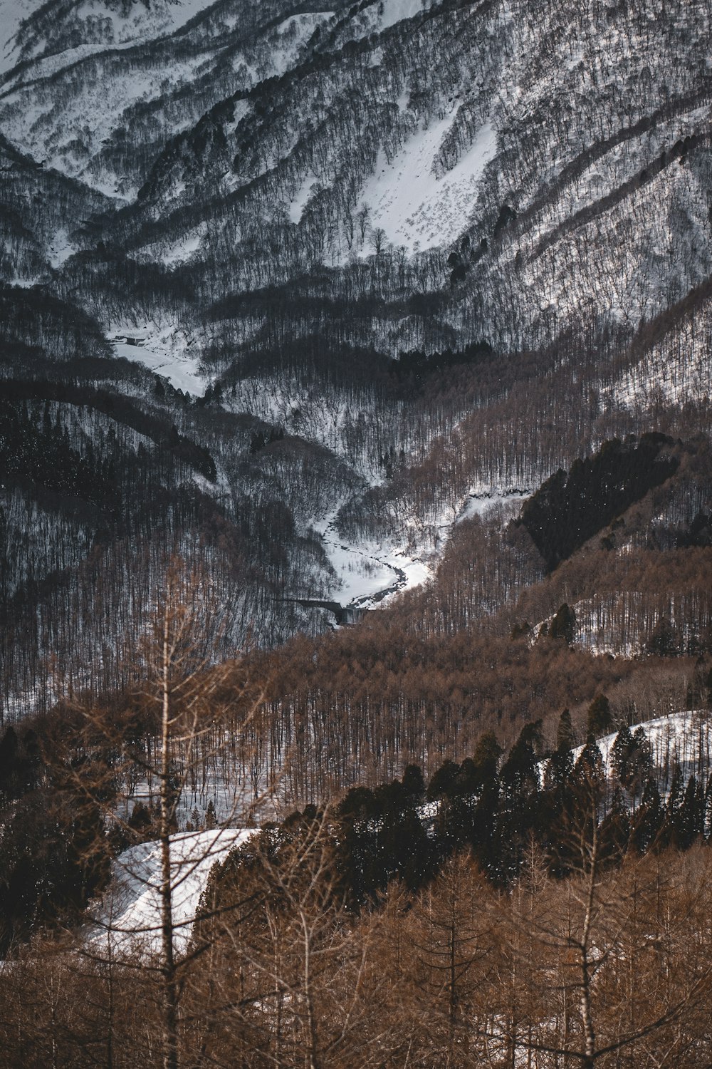 Una montagna innevata con alberi e neve