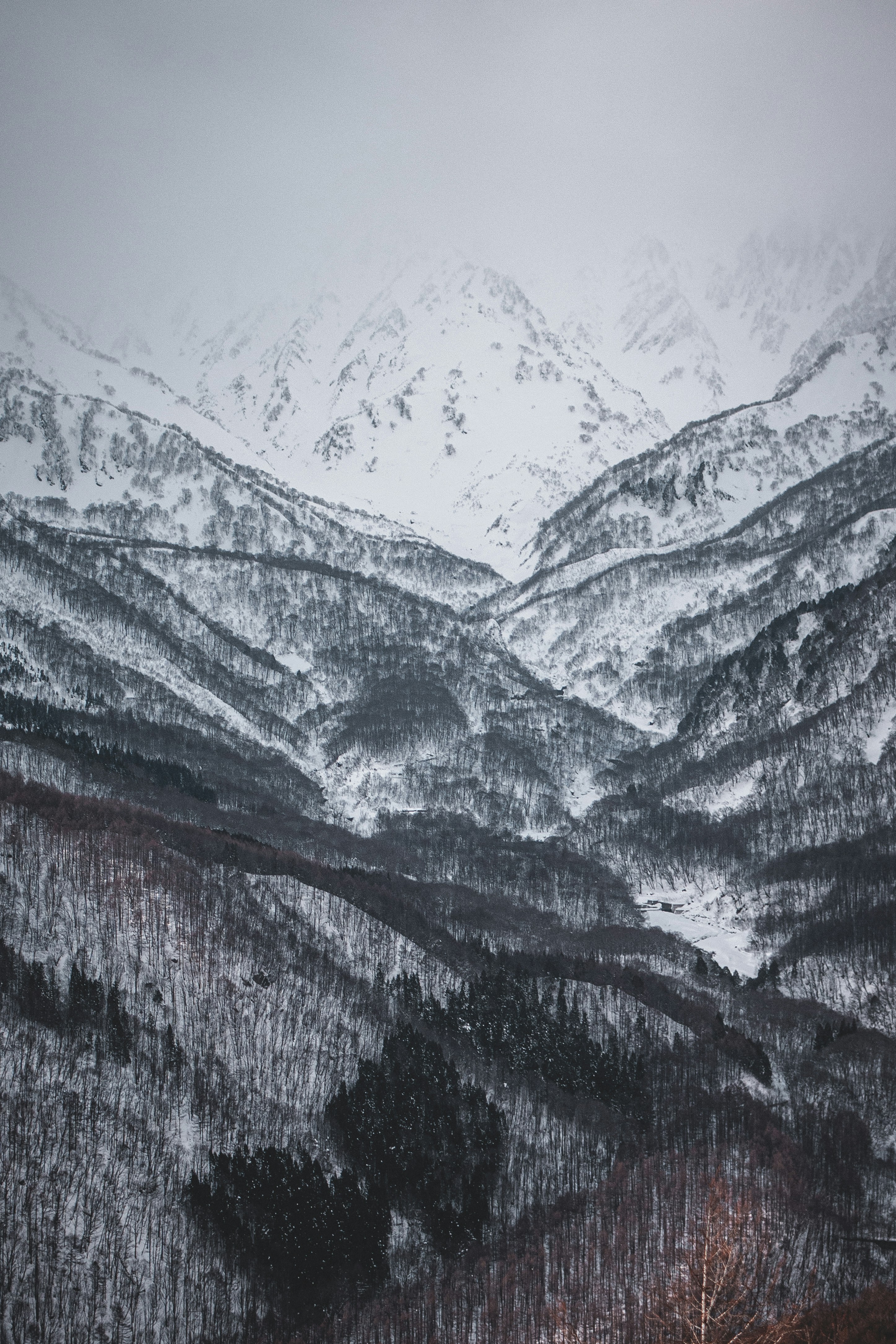 a snow covered mountain range with trees in the foreground