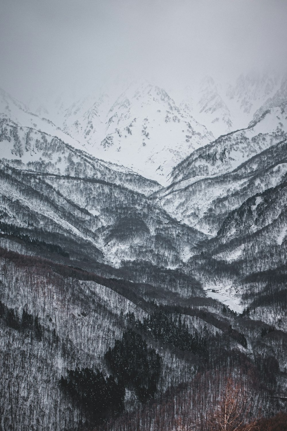 a snow covered mountain range with trees in the foreground