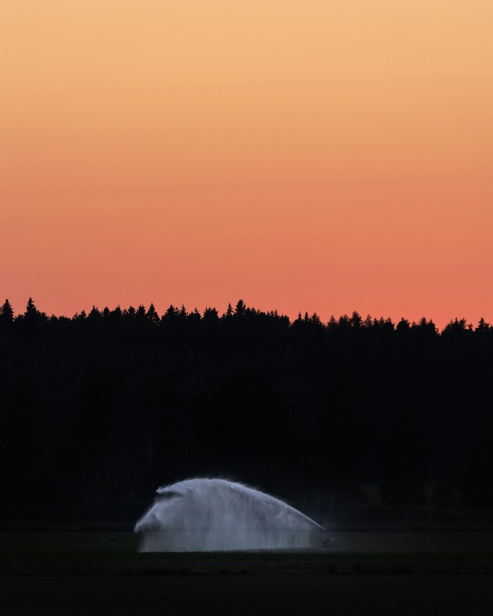 a plane flying over a field with trees in the background