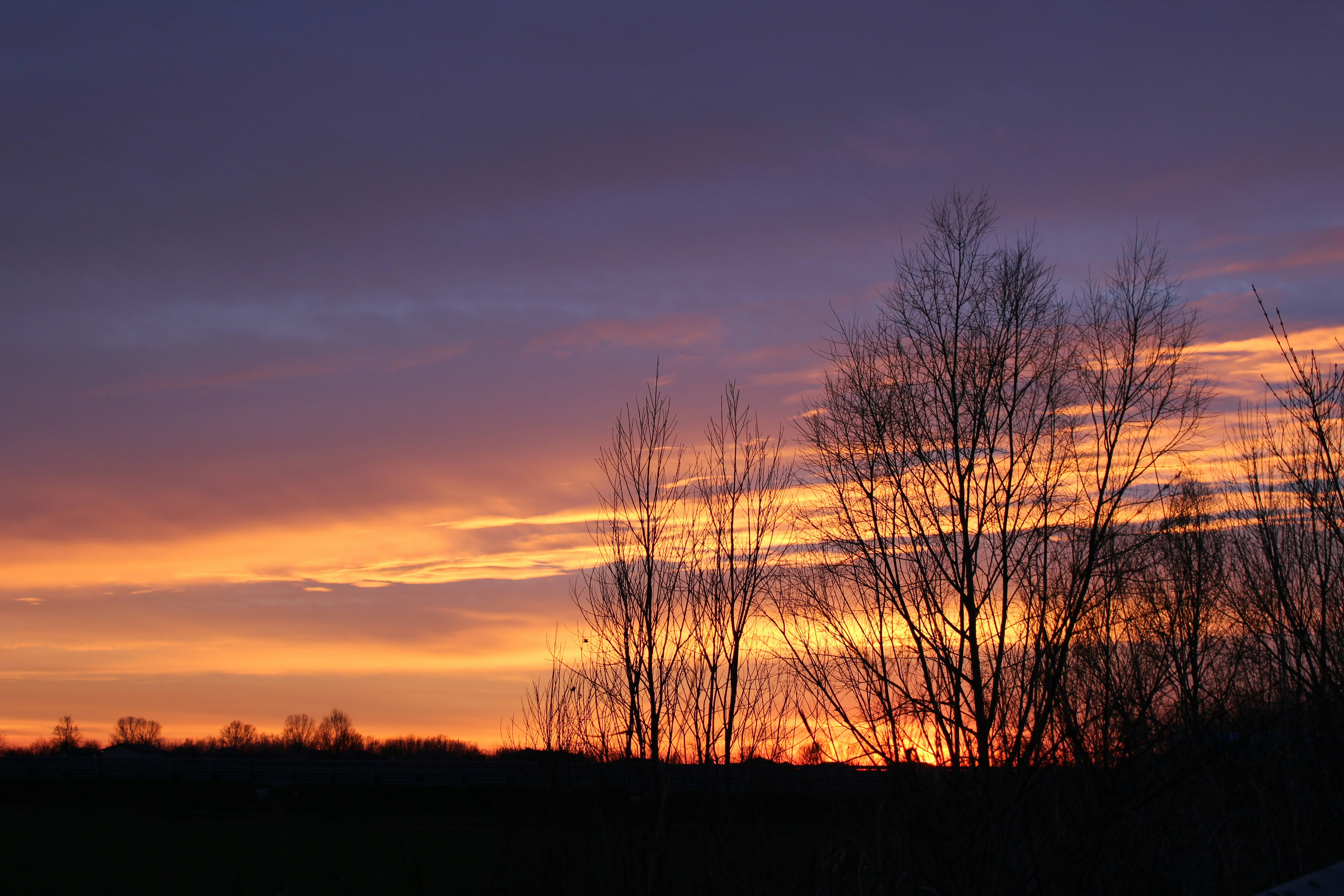 Photo by letizia_chiarello