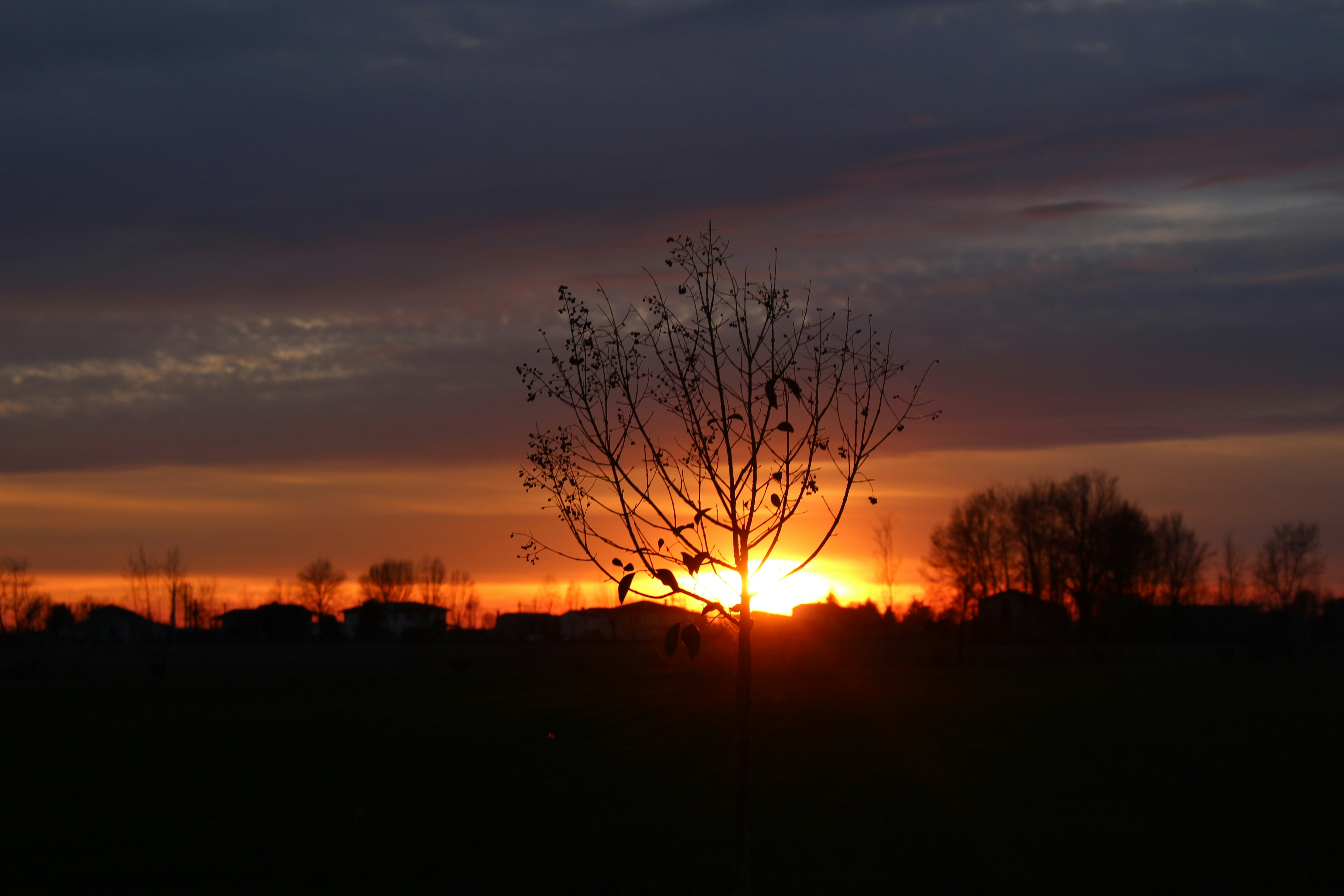 Photo by letizia_chiarello