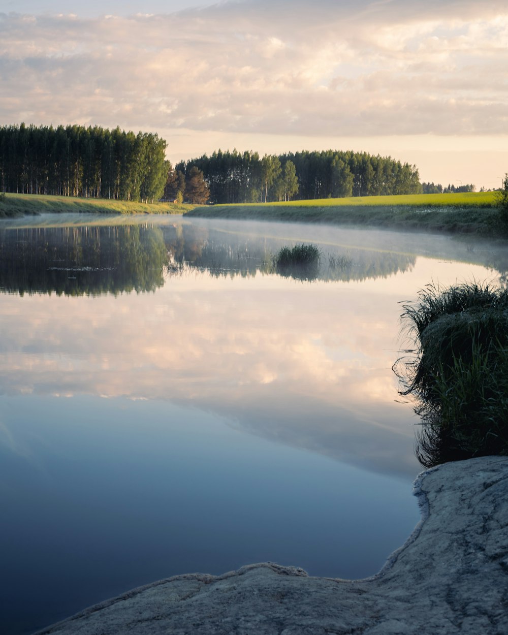 a body of water surrounded by a forest