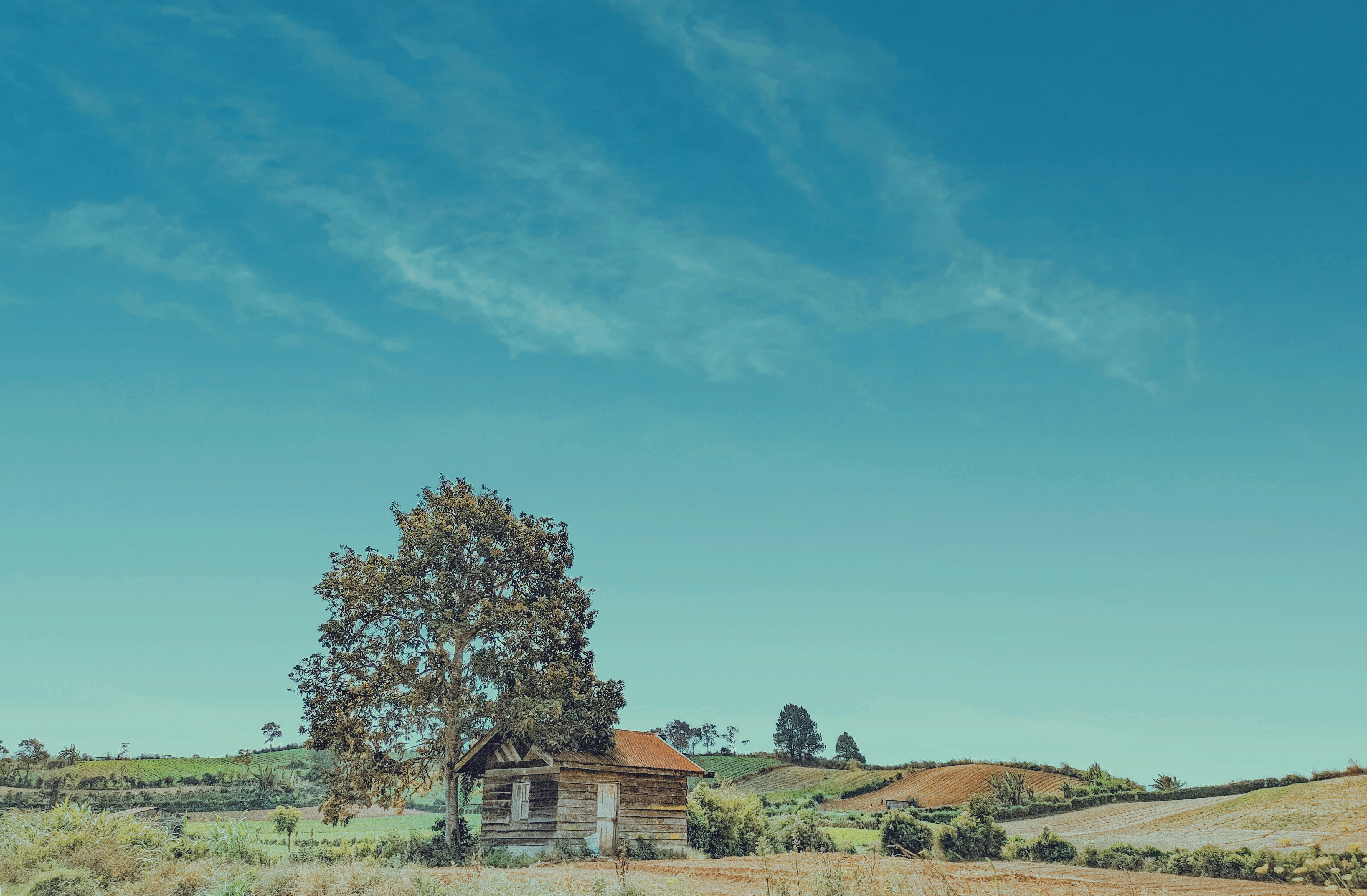 Photo by ahmadprayogi