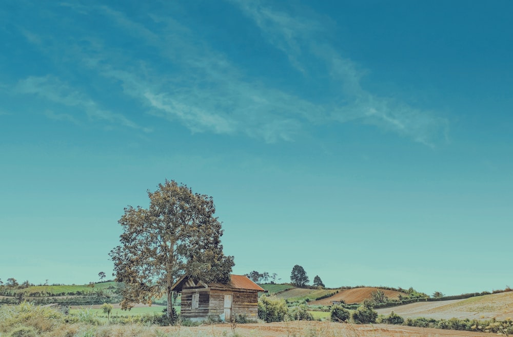 an old house in a field with a tree in the foreground