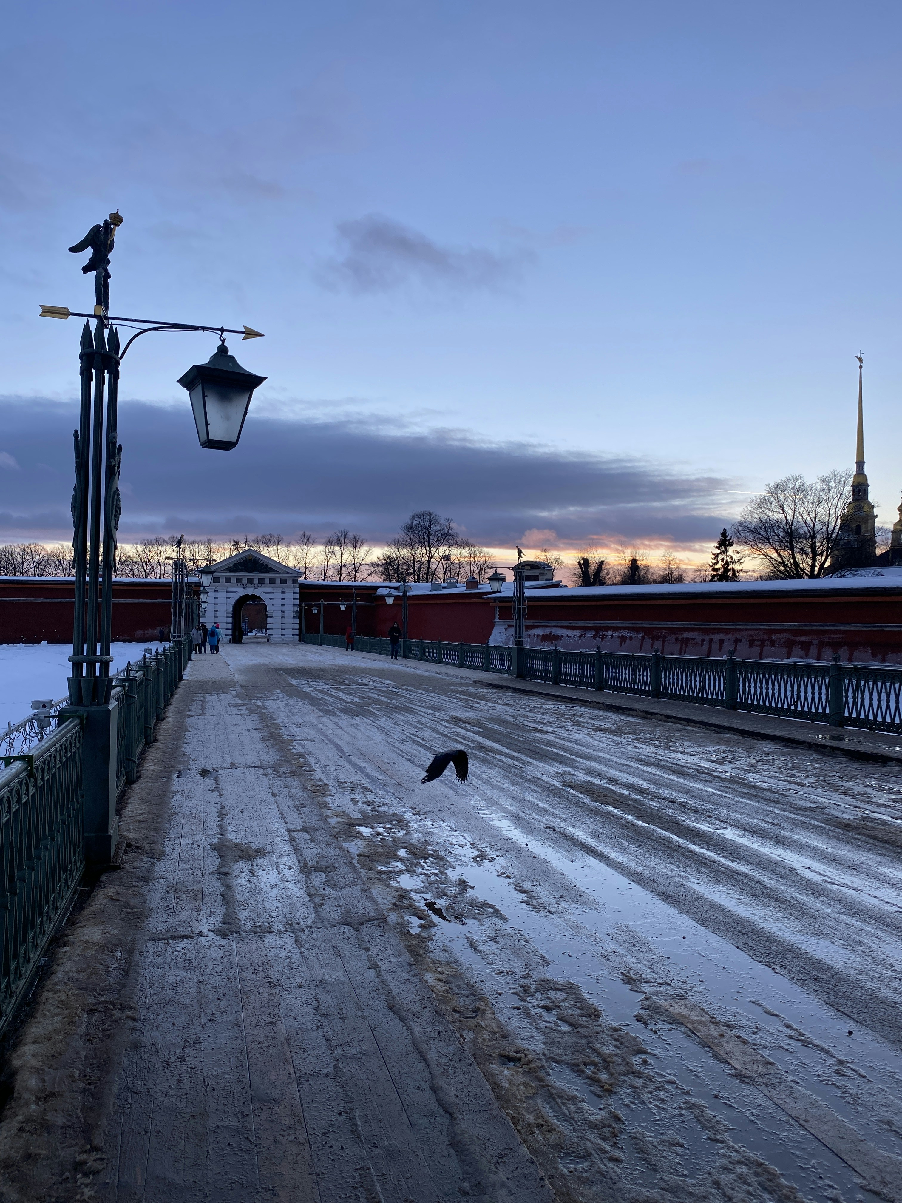 Rovaniemi Ice Stadium photo 2