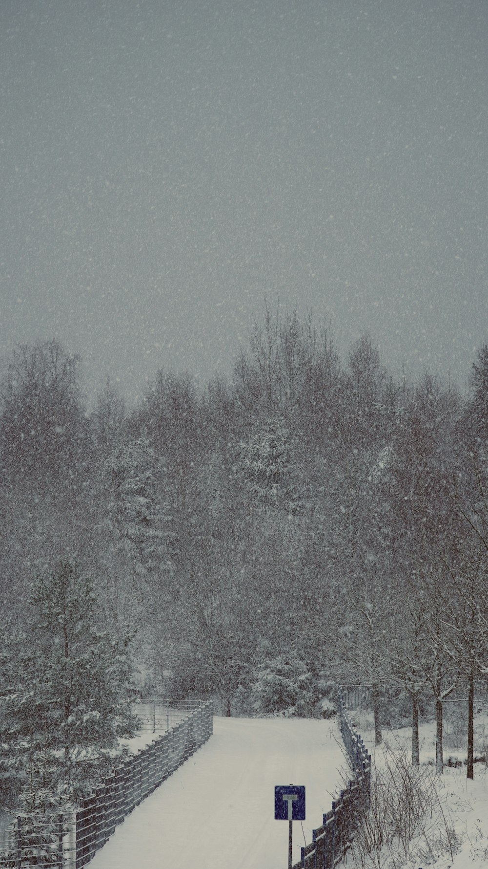 a snow covered field with a fence and trees