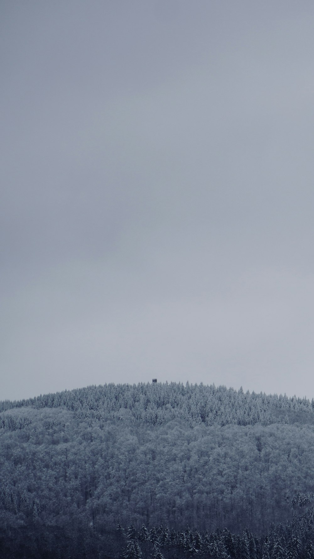 a hill covered in trees under a cloudy sky