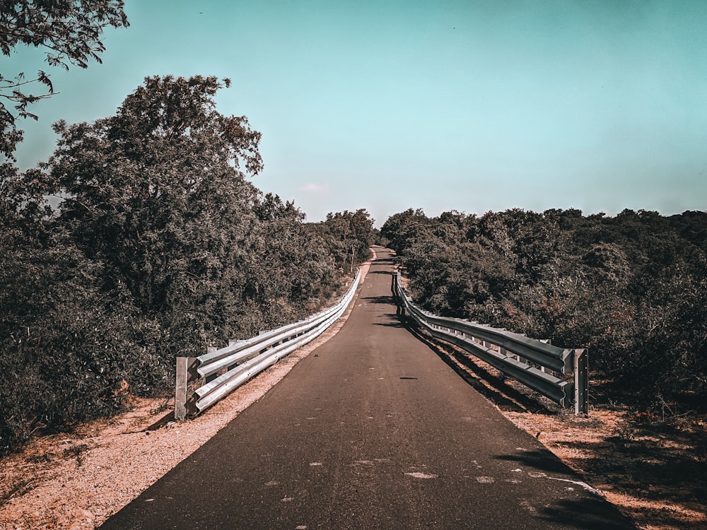 a road with a white fence and trees on both sides