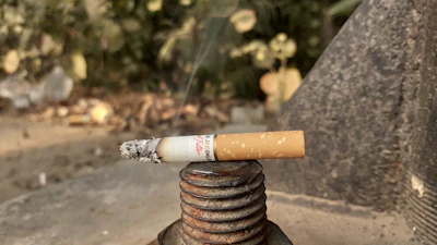A partially smoked cigarette rests on top of a rusted metal object, possibly a bolt or pipe. The background features out-of-focus foliage, giving a natural setting. Wisps of smoke rise from the burning end of the cigarette.