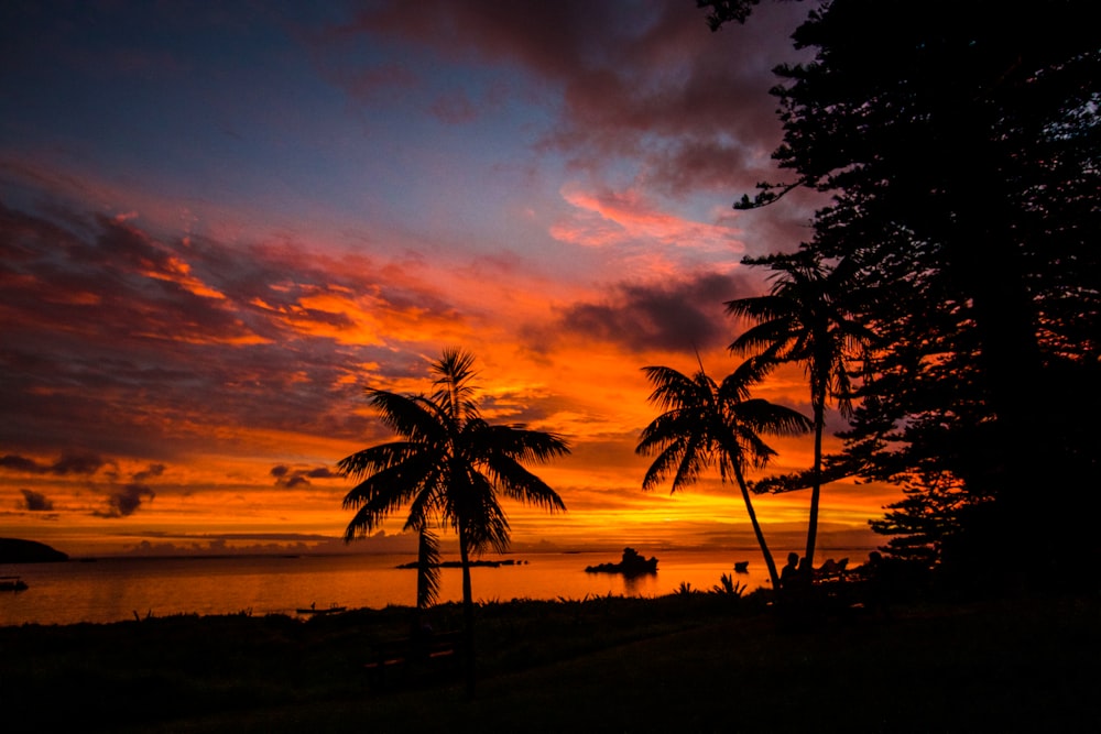 a sunset with palm trees and a boat in the water