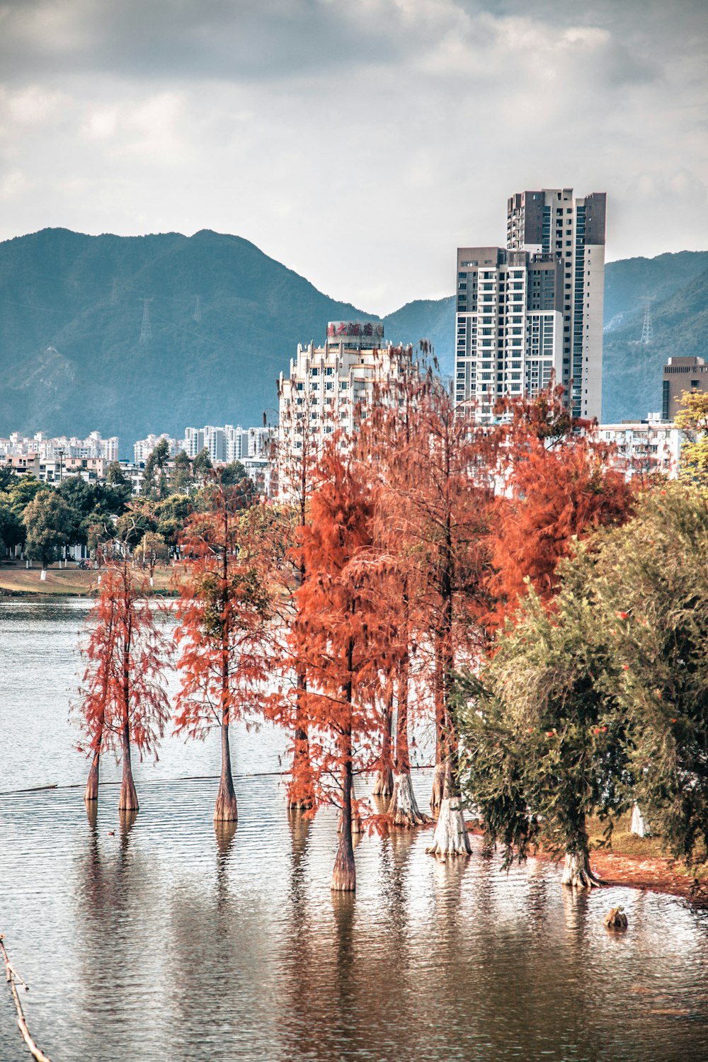 a body of water surrounded by trees and buildings