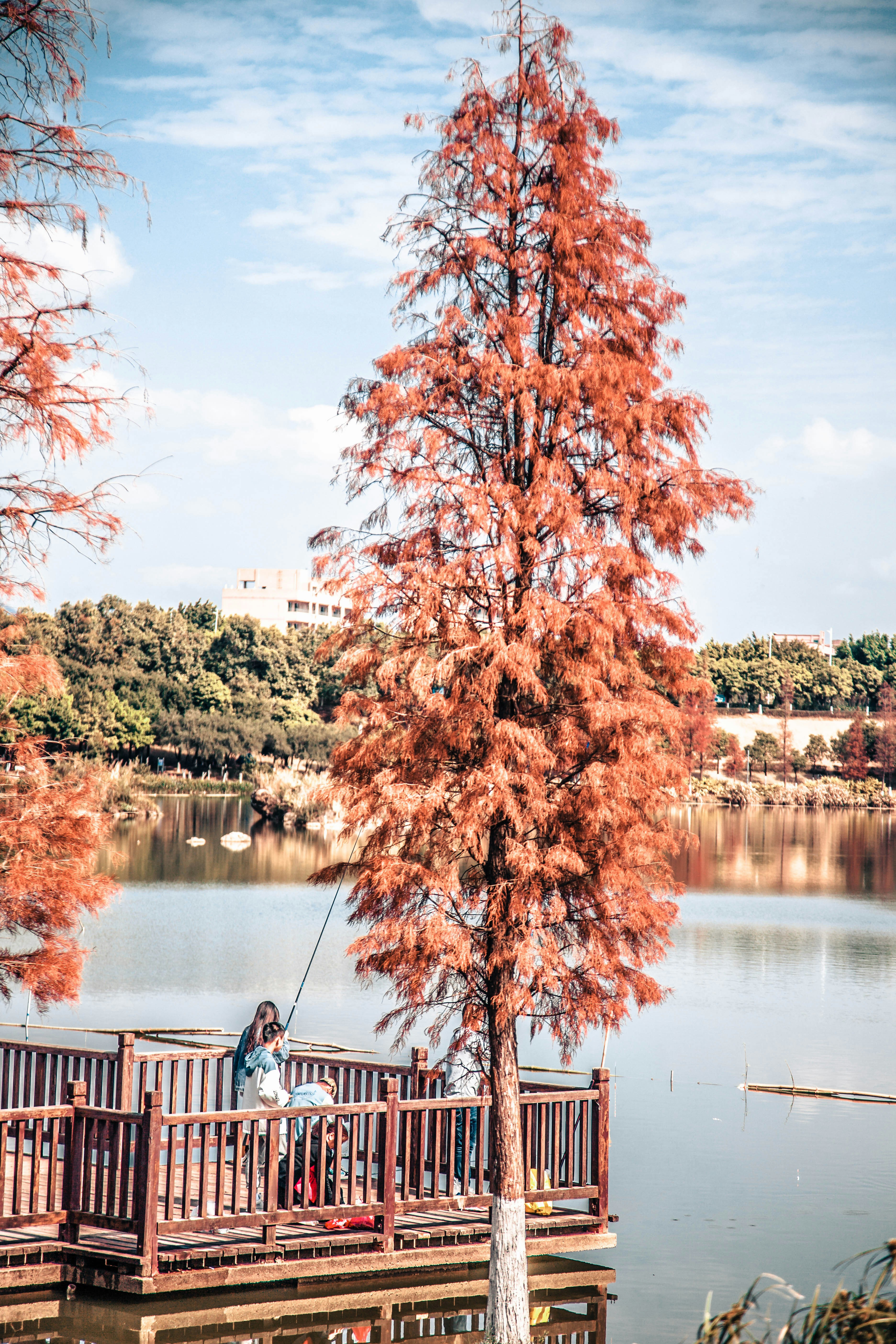 Photo by roland_kwok