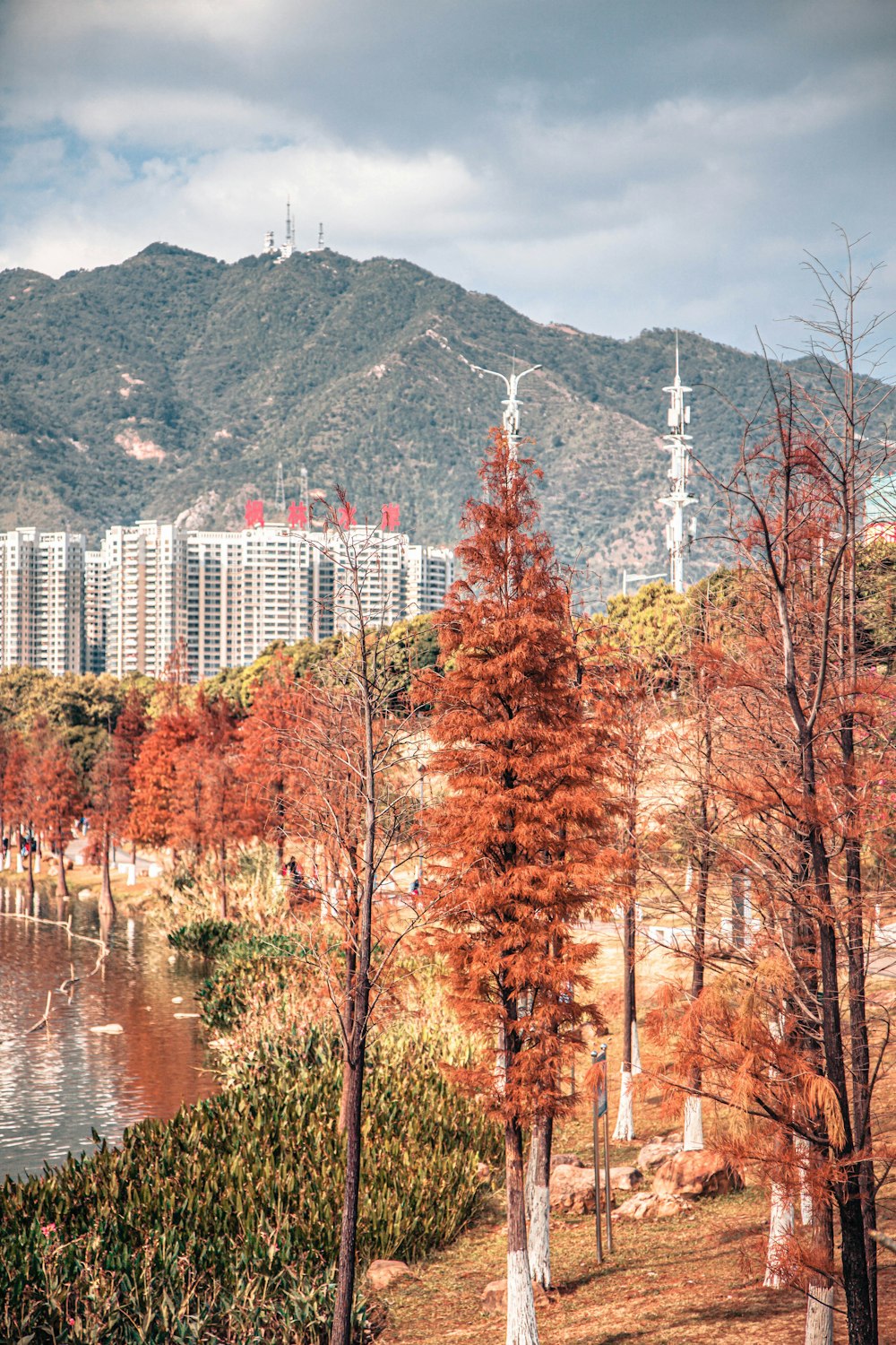 a lake surrounded by trees with a city in the background