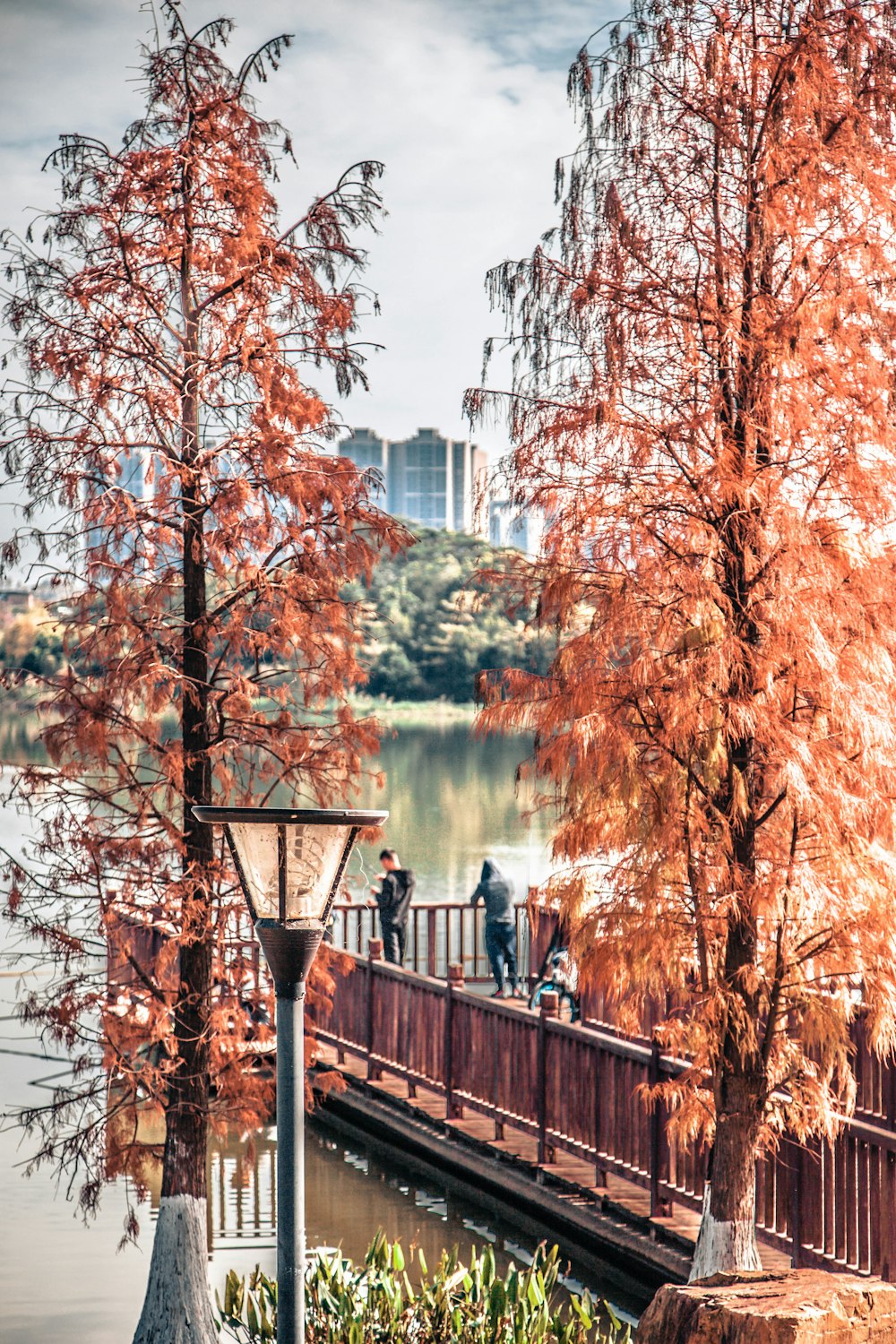 a couple of people walking across a bridge over a river