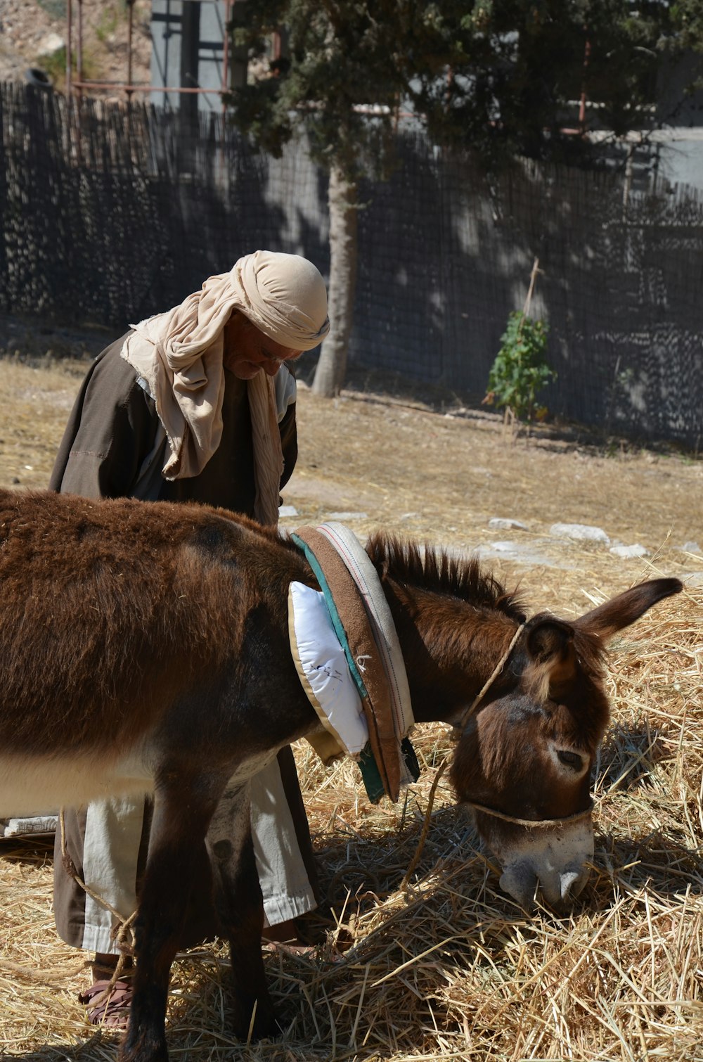 Una mujer alimentando a un burro con un sombrero en la cabeza