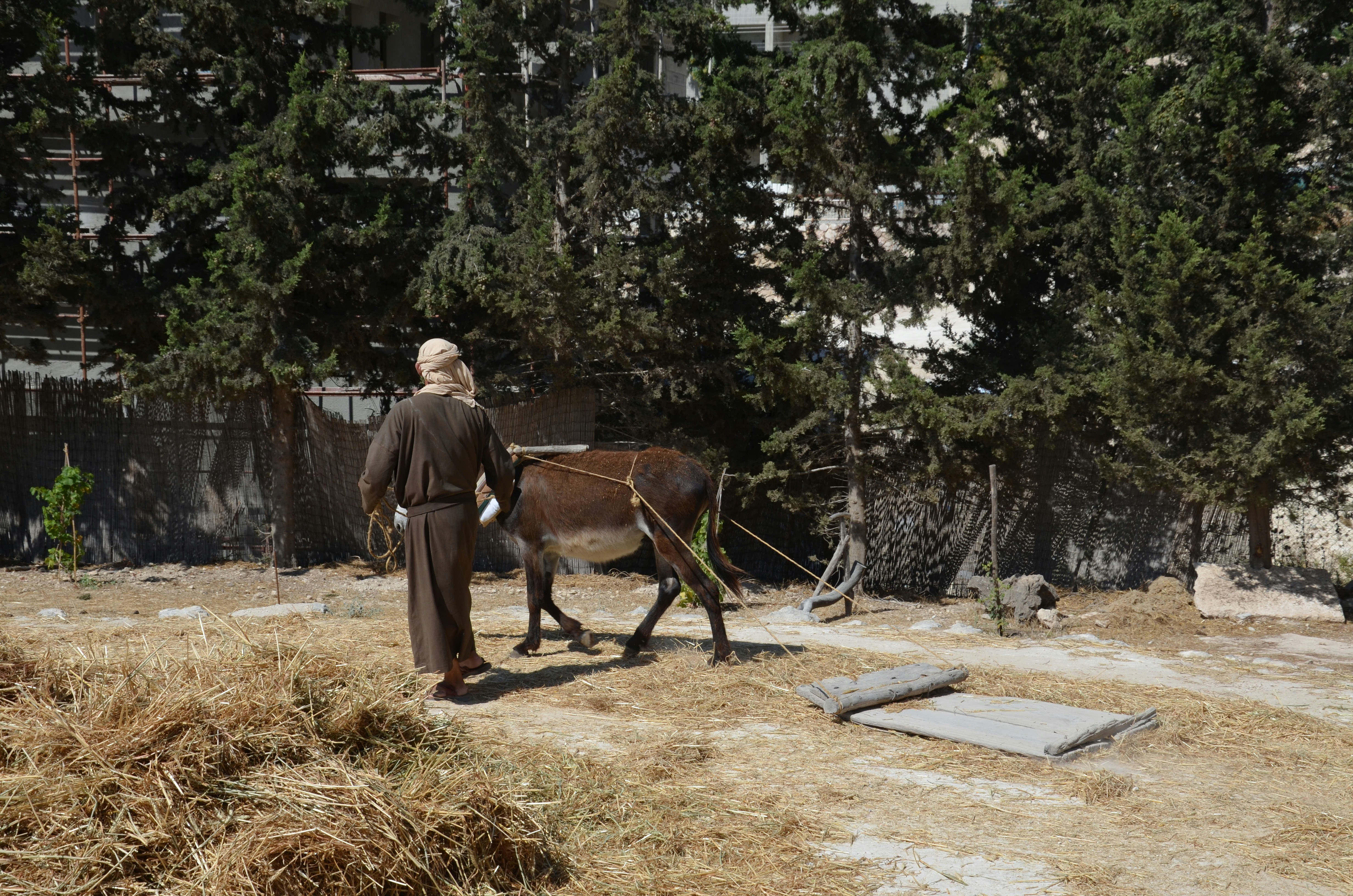 a man leading a donkey down a dirt road