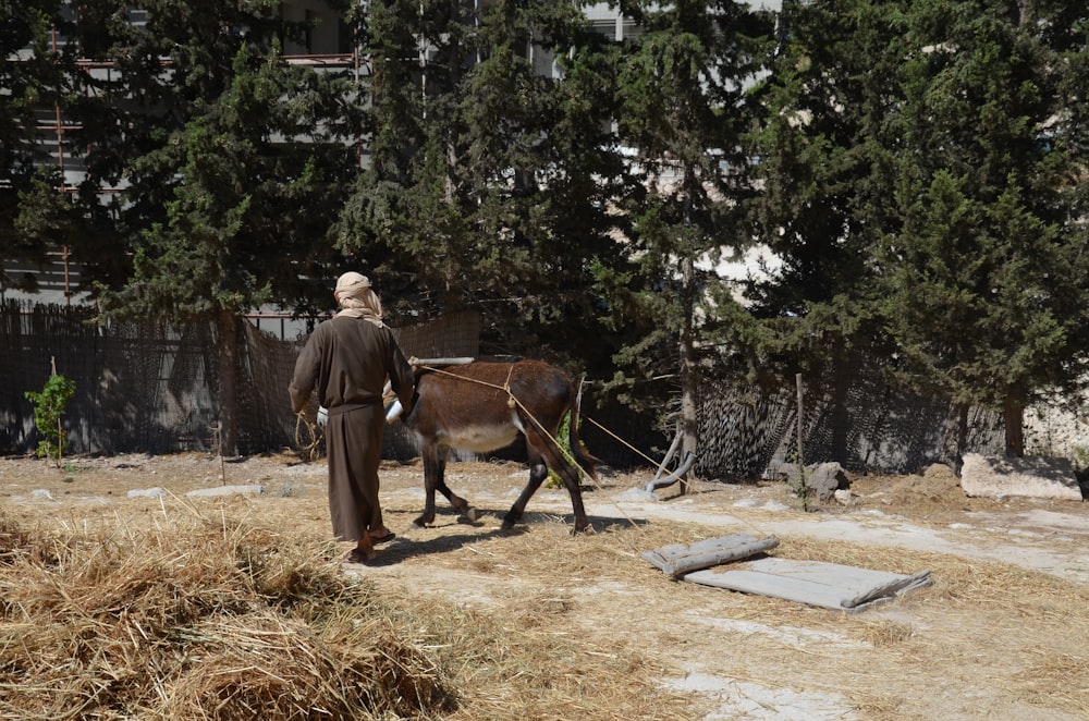 Un hombre conduciendo a un burro por un camino de tierra