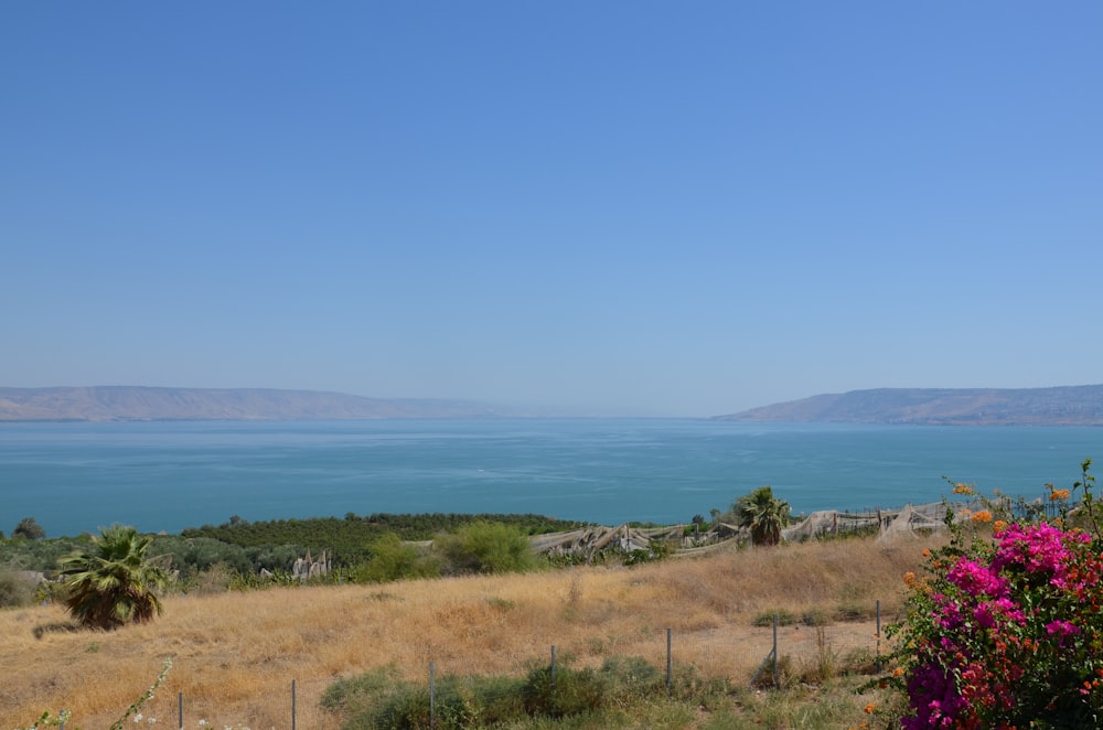 a large body of water sitting next to a lush green field