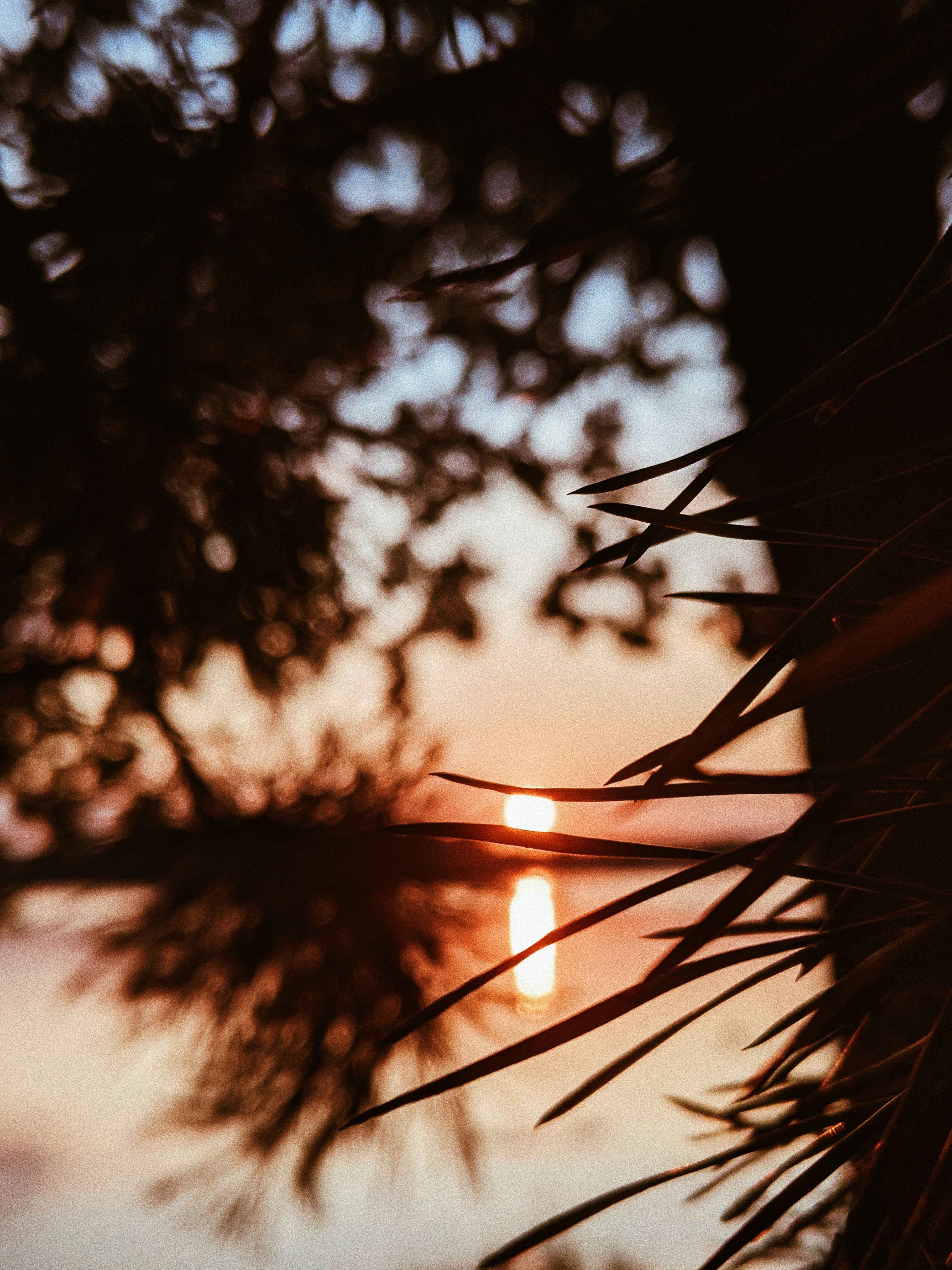 Photo by muchowakoid