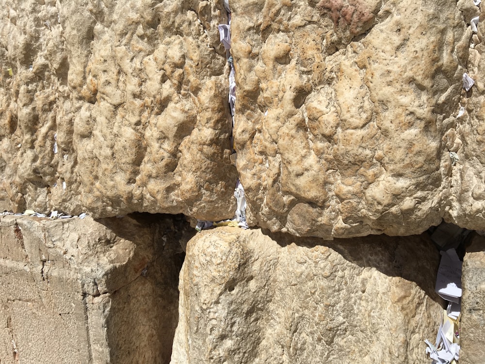 a close up of a rock with a bird perched on top of it