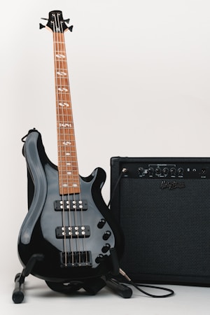 Lessons from a Pro Bassist: My Journey Through Music