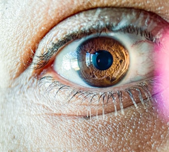 Close-up of iris scan device capturing biometric data for digital life certificate.