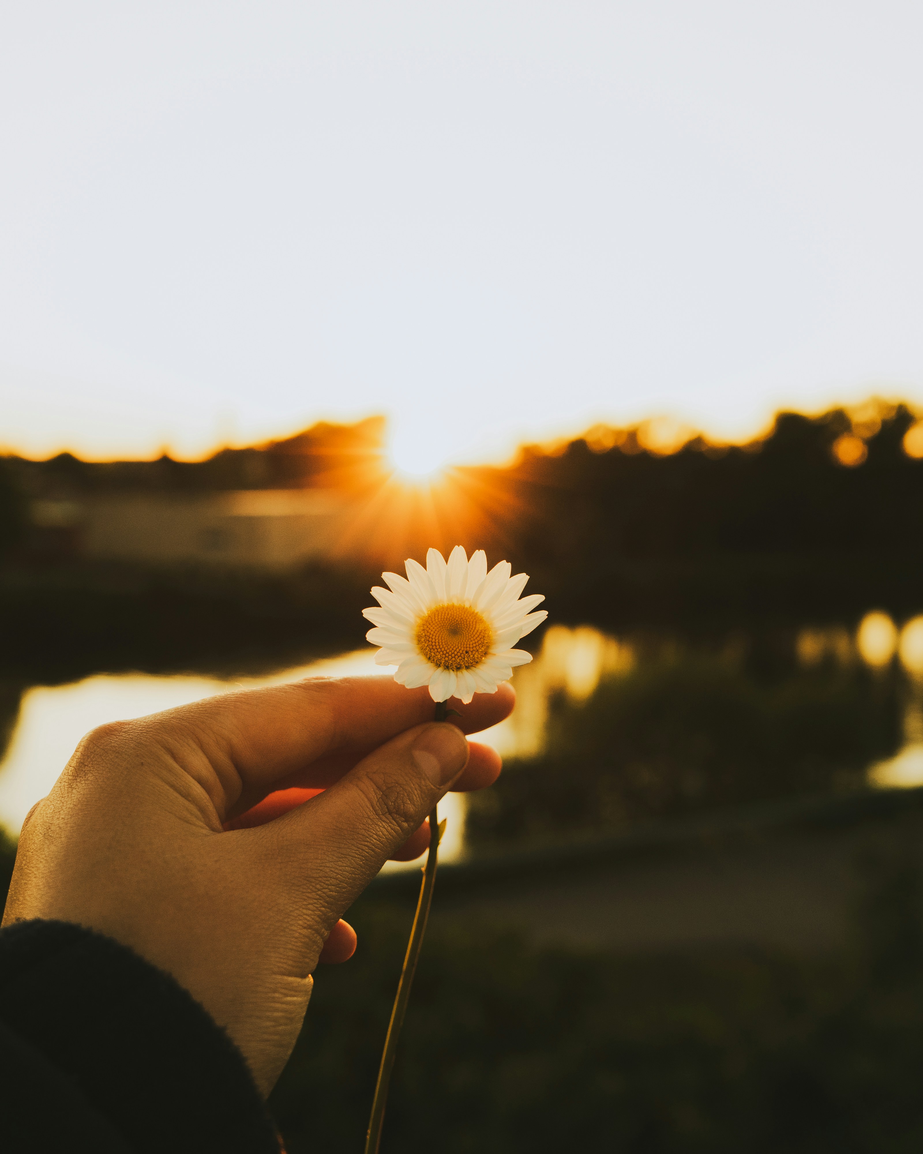 Photo by mxvandeberge