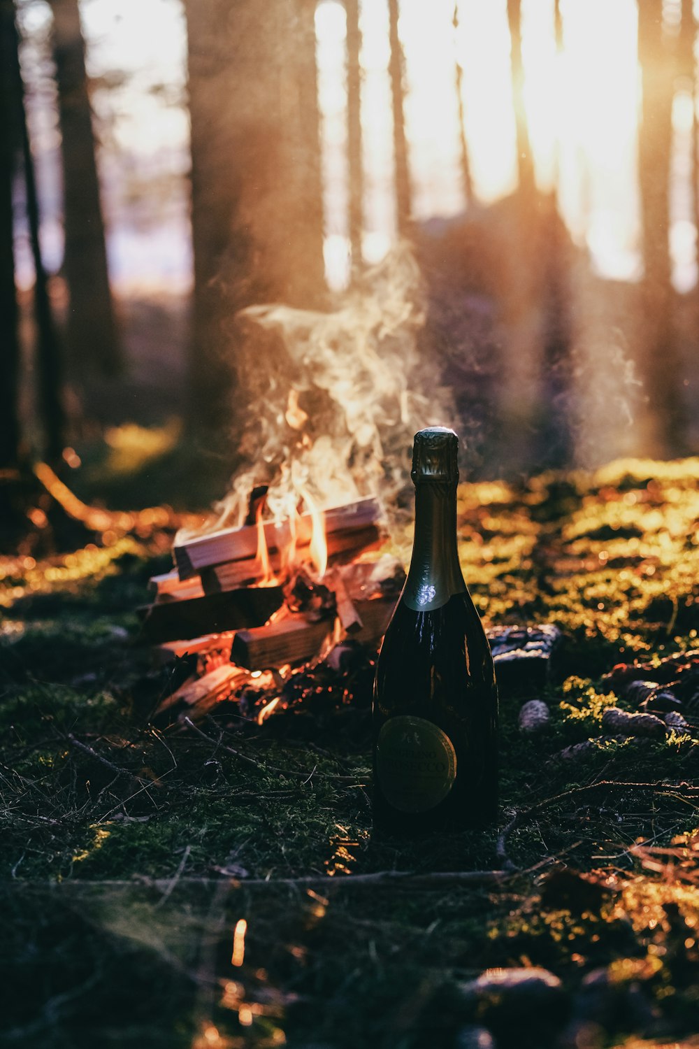 a bottle of wine sitting next to a fire in the woods