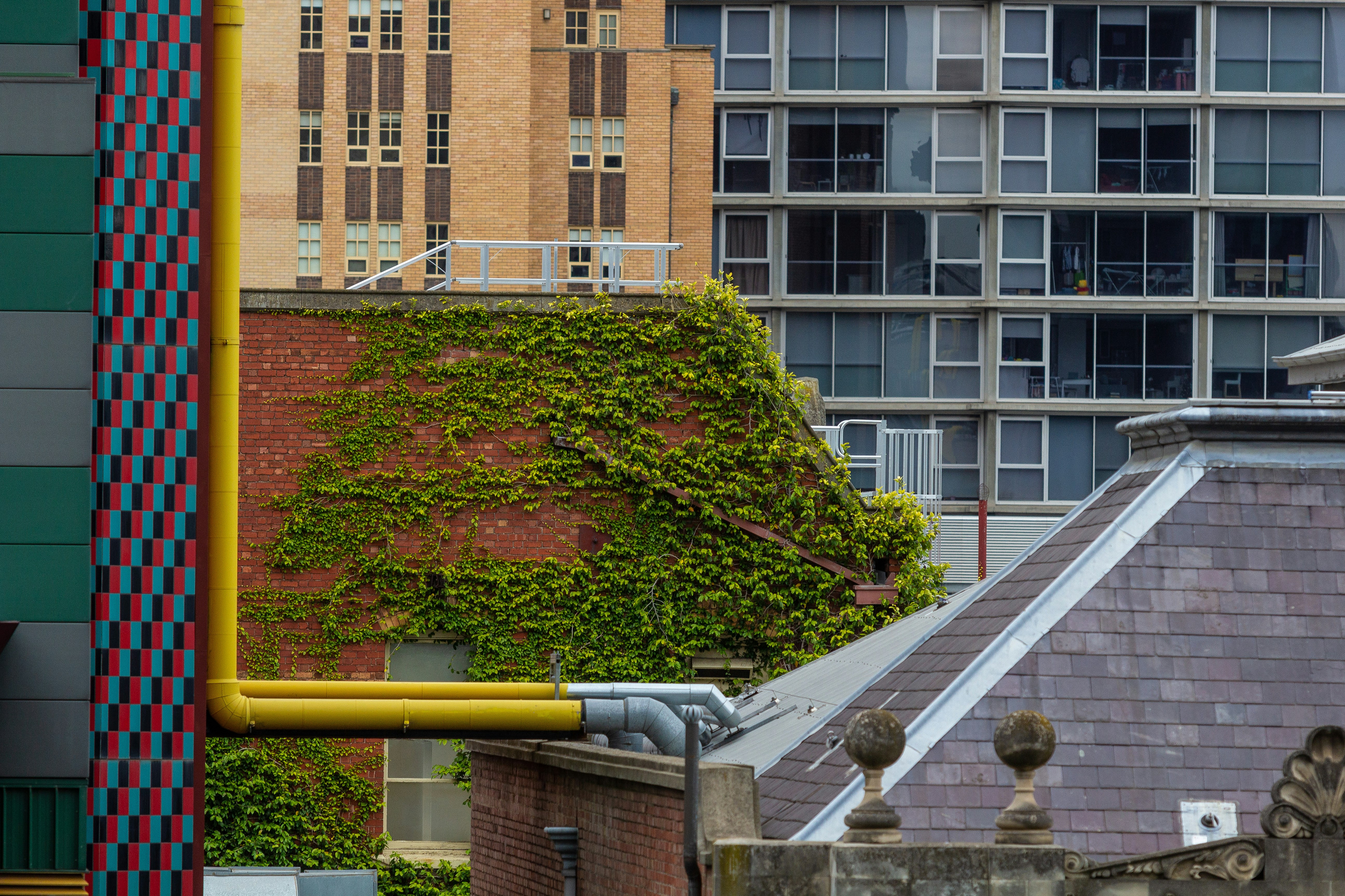 Rooftop Garden
