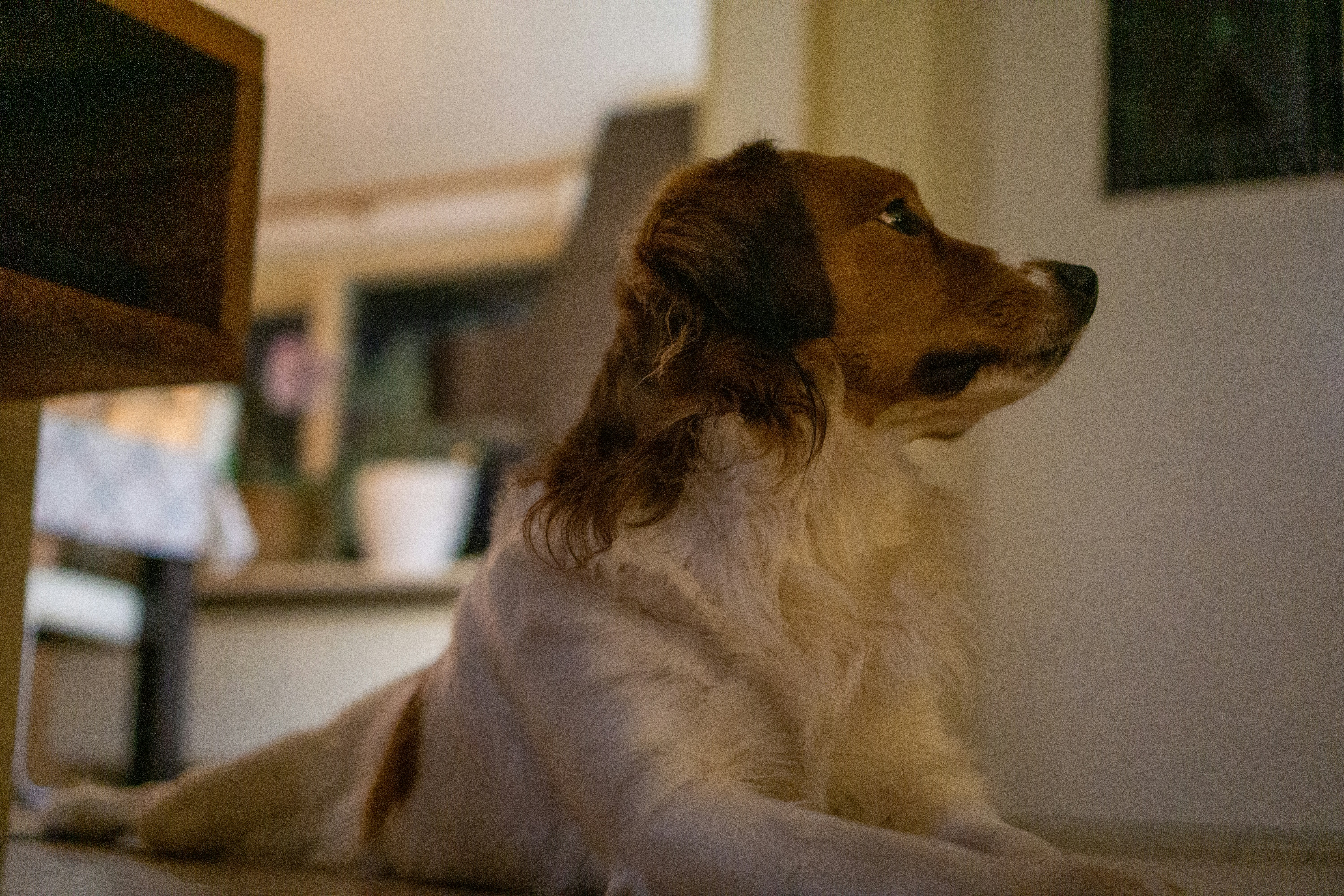 Photo by mauricemaaktfotos