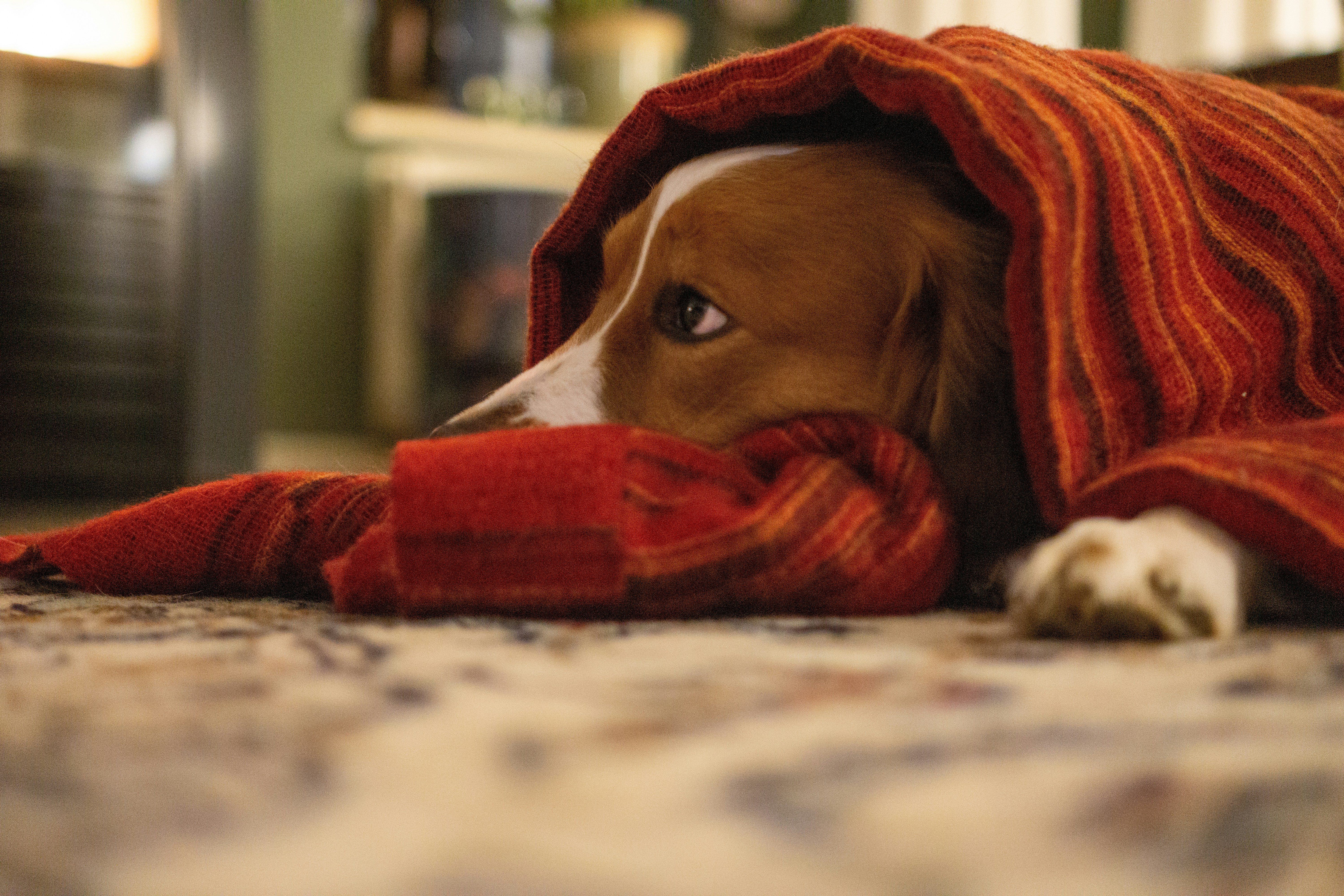 Photo by mauricemaaktfotos