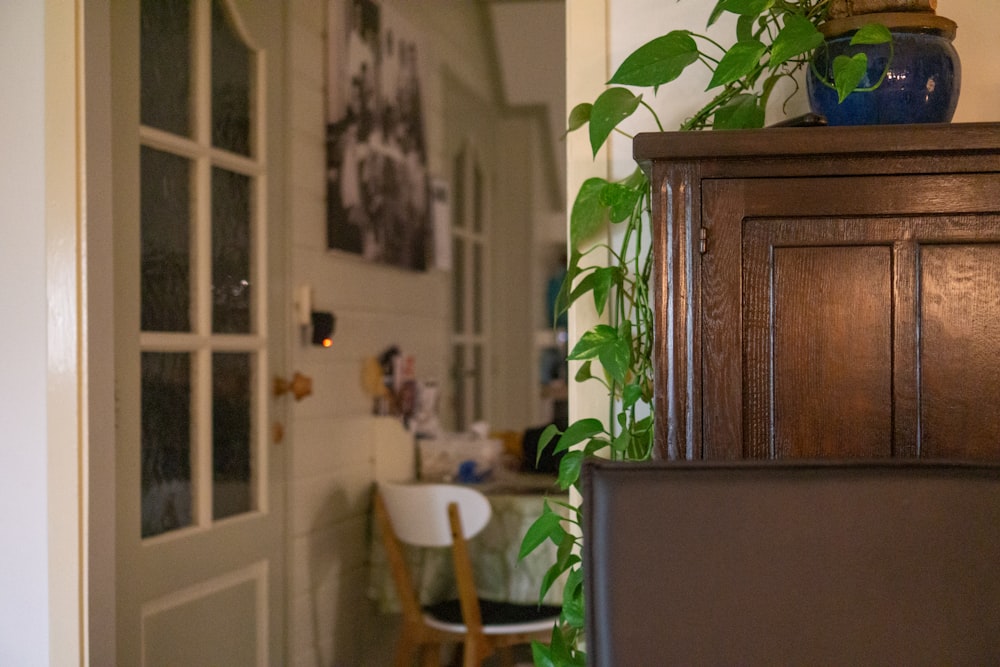 a living room with a plant on the wall