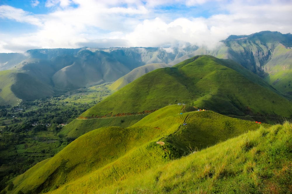 a lush green hillside covered in lush green grass