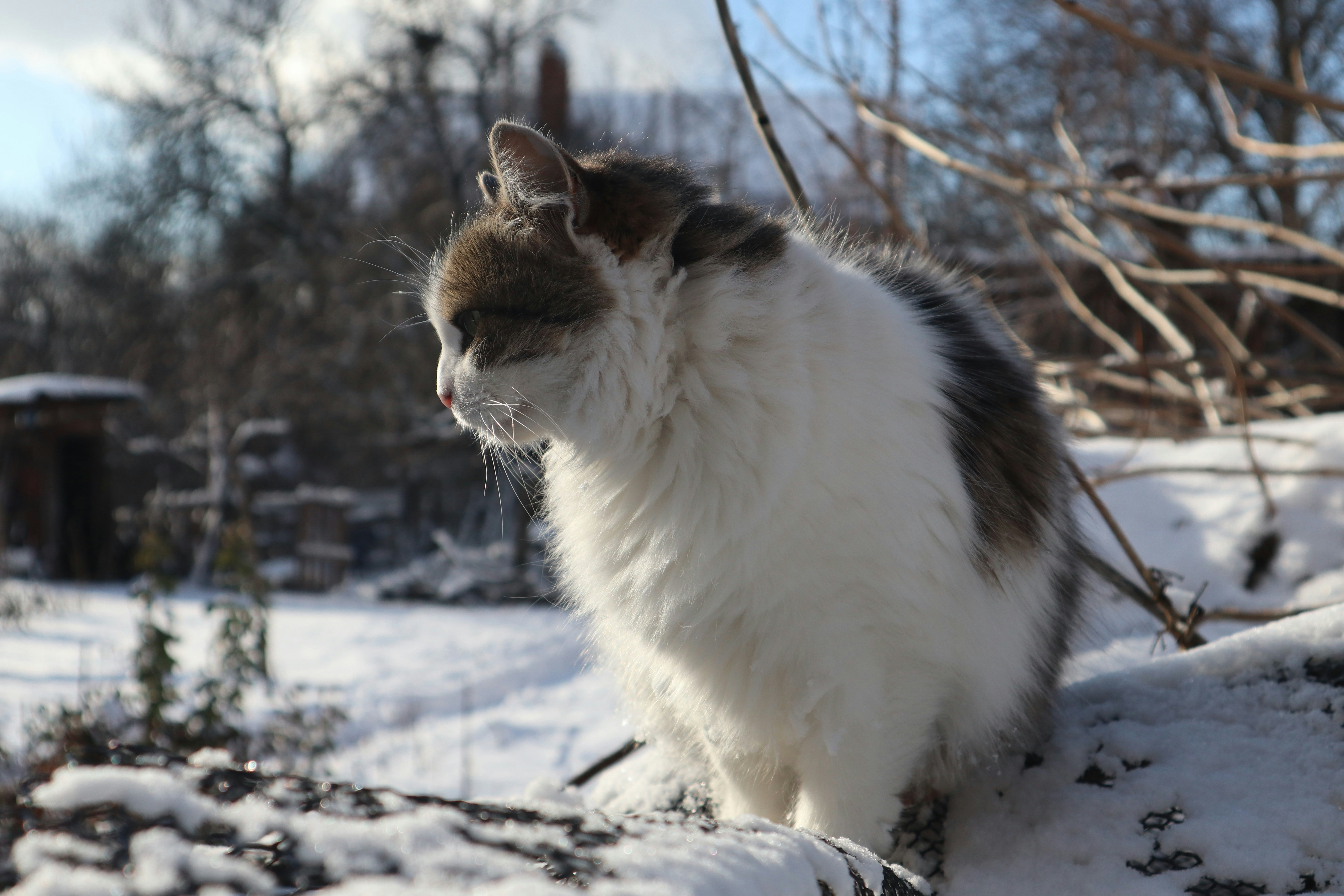 Photo by yevheniiaz