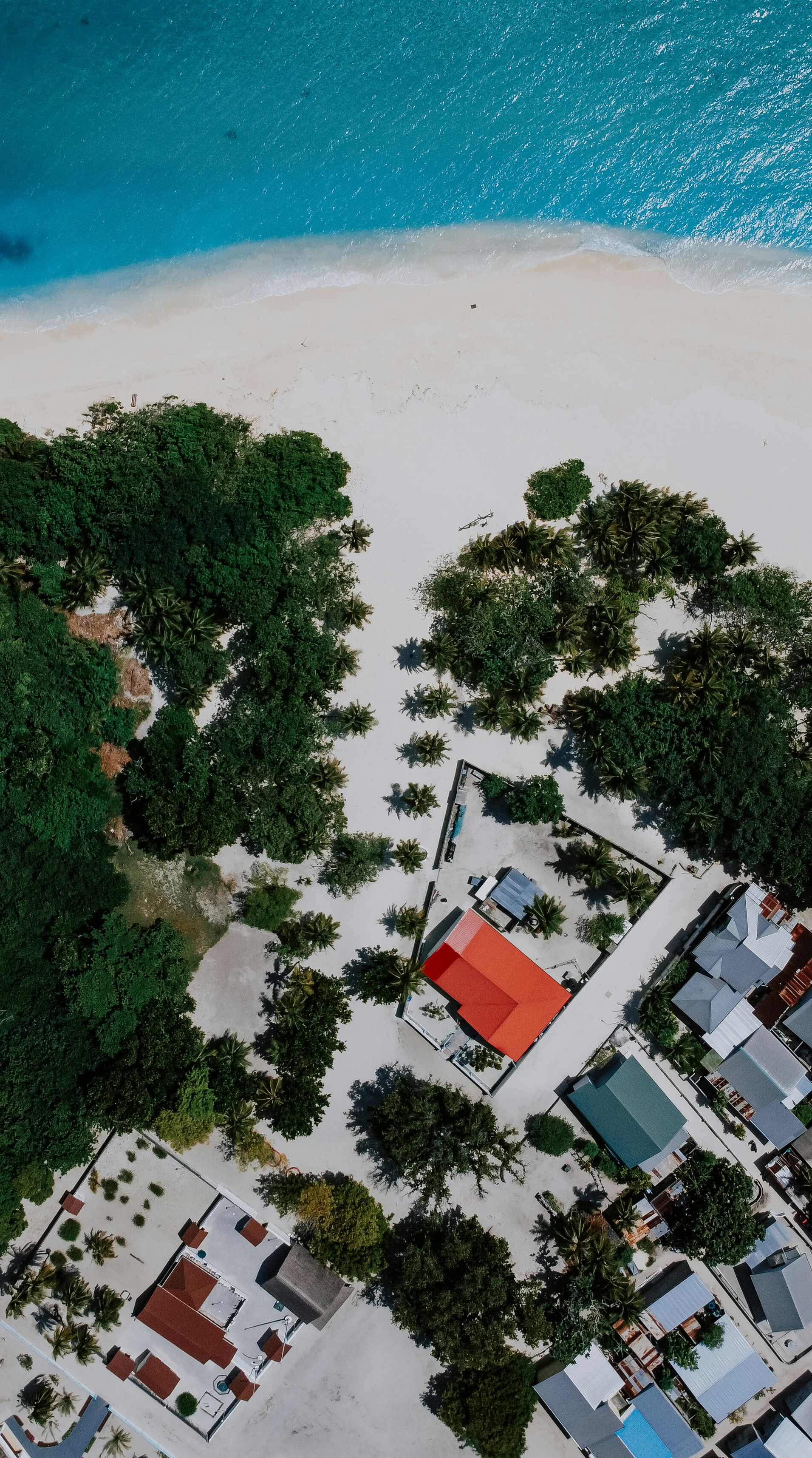 una vista aerea di una spiaggia con case e alberi