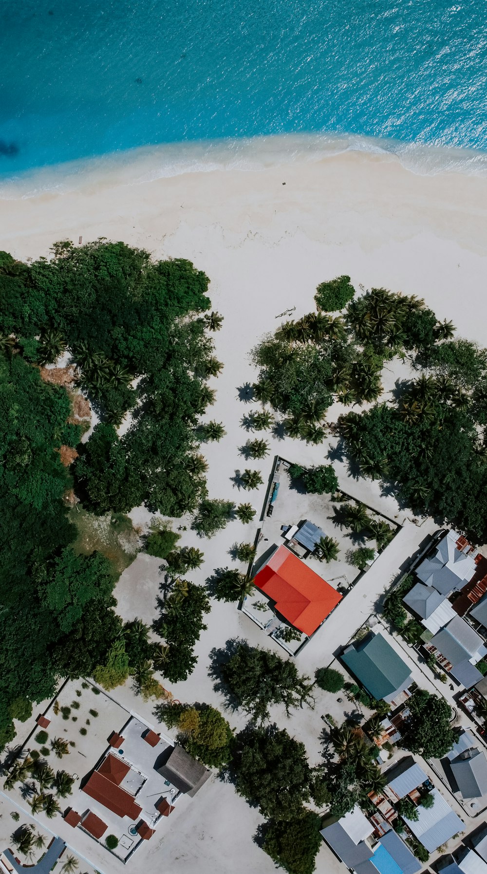 an aerial view of a beach with houses and trees