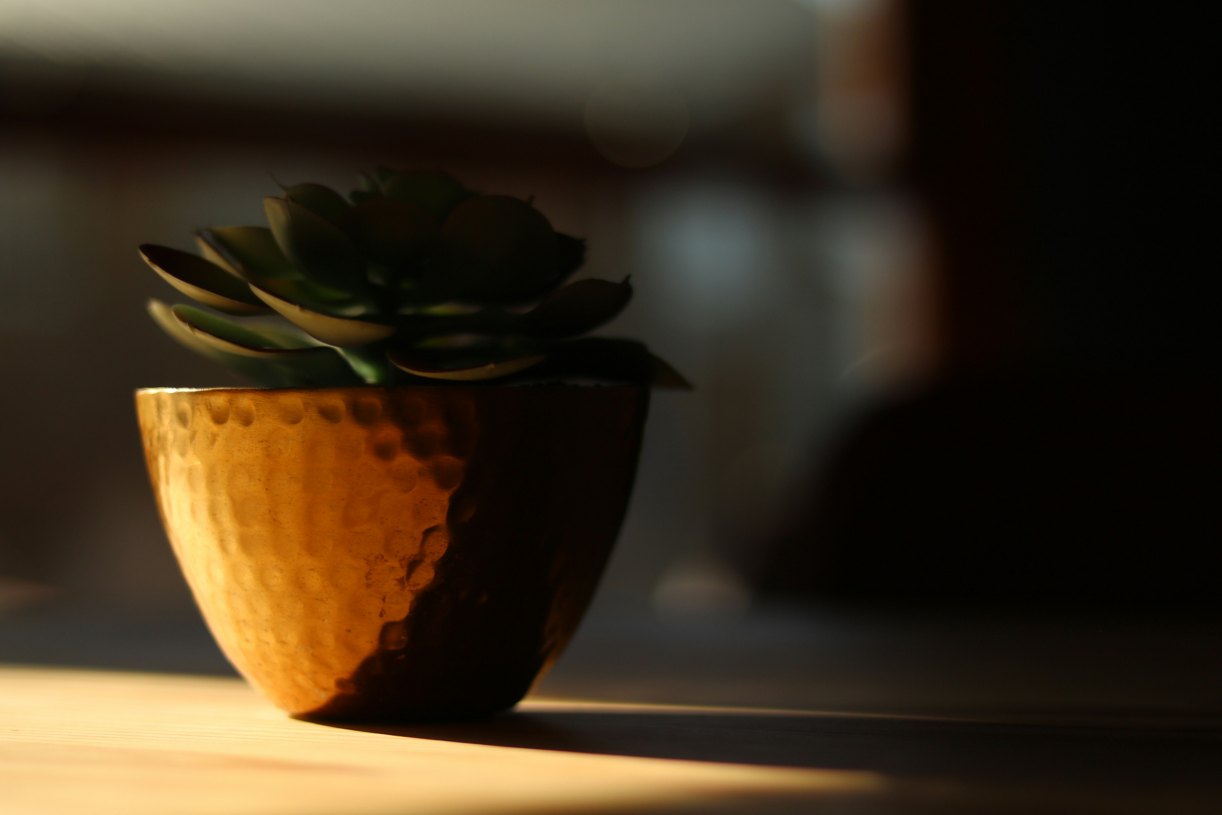a small potted plant sitting on top of a wooden table