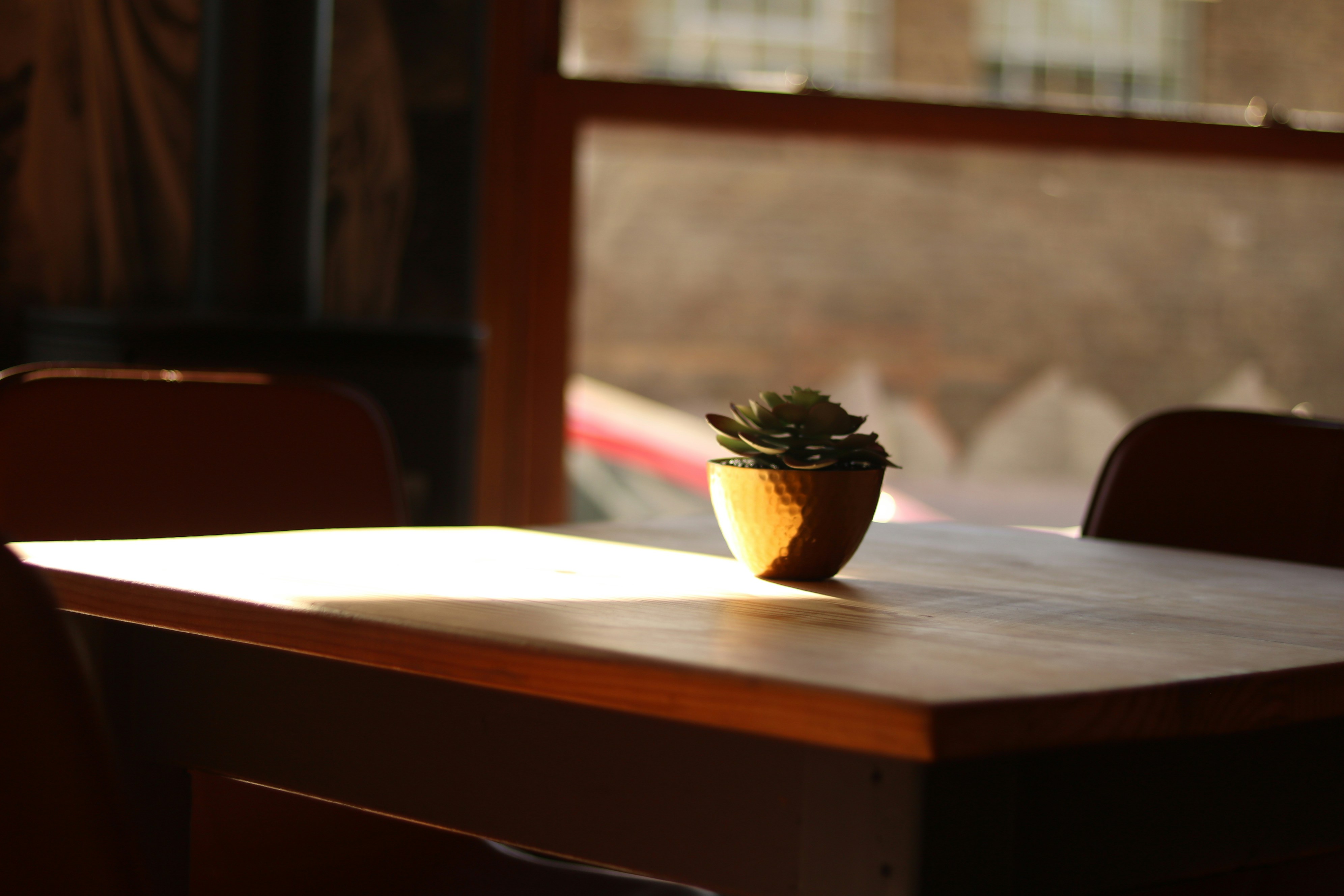 Photo by allysphotos