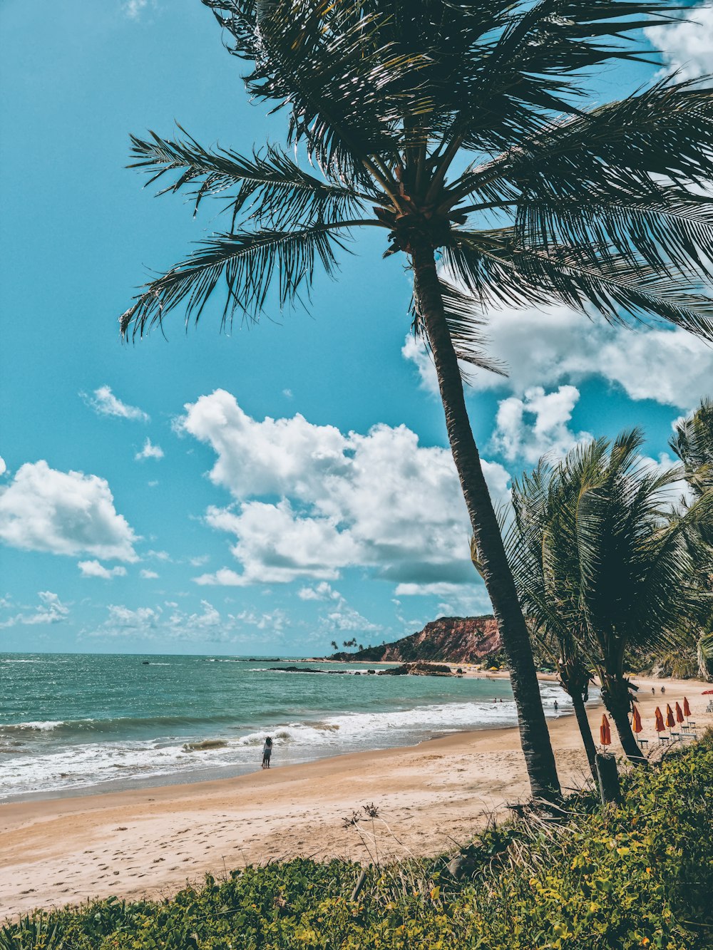 a beach with palm trees and people walking on it