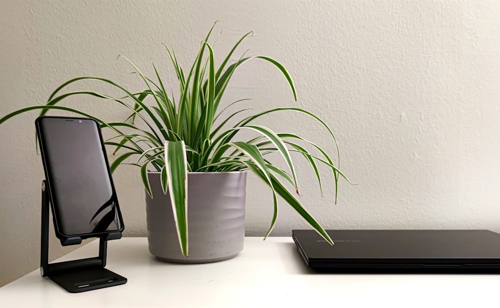 a cell phone and a plant on a desk