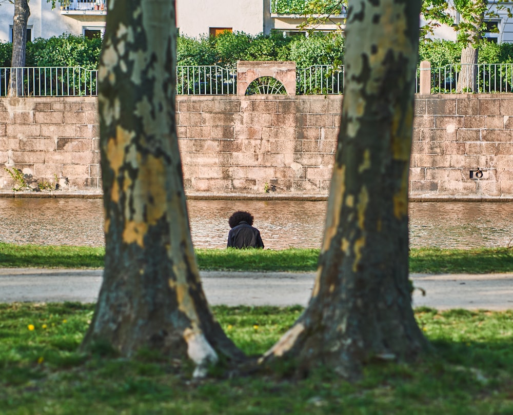 a person sitting in the grass near some trees