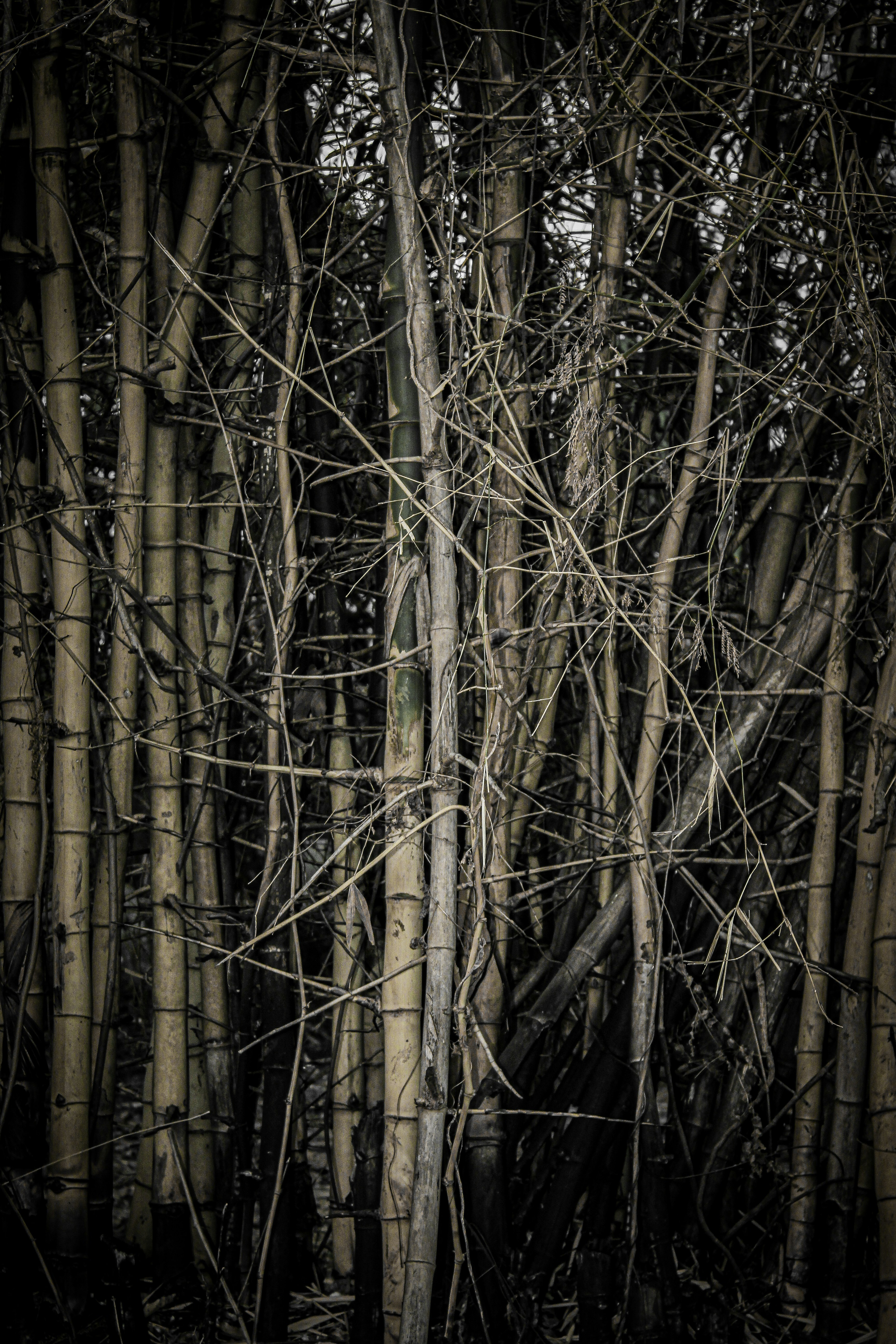 Photo by akshar_2598